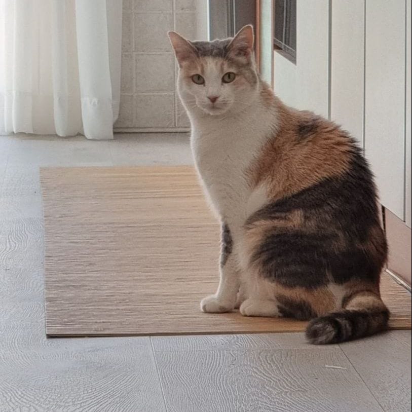 Lilipet