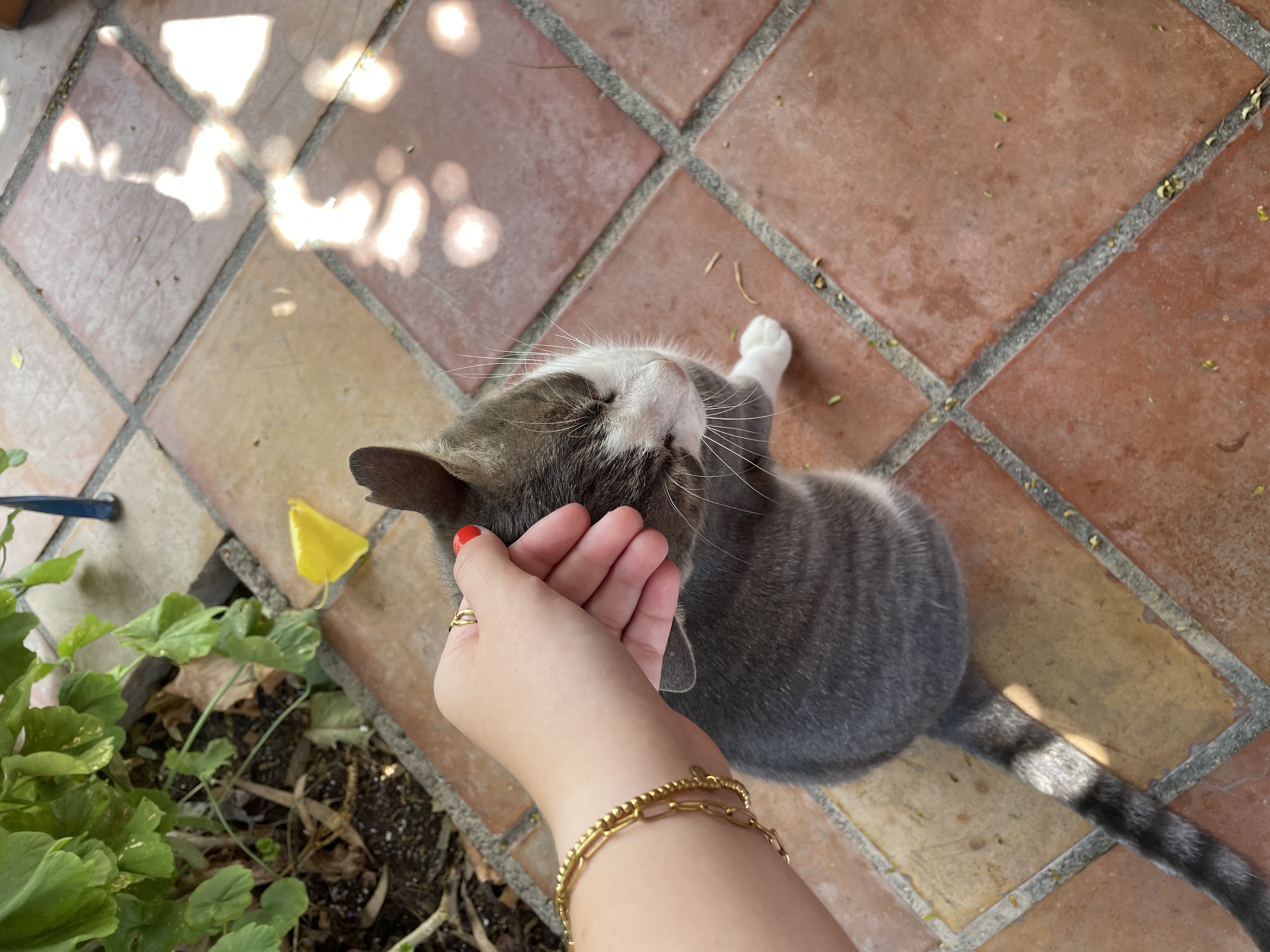 image-12