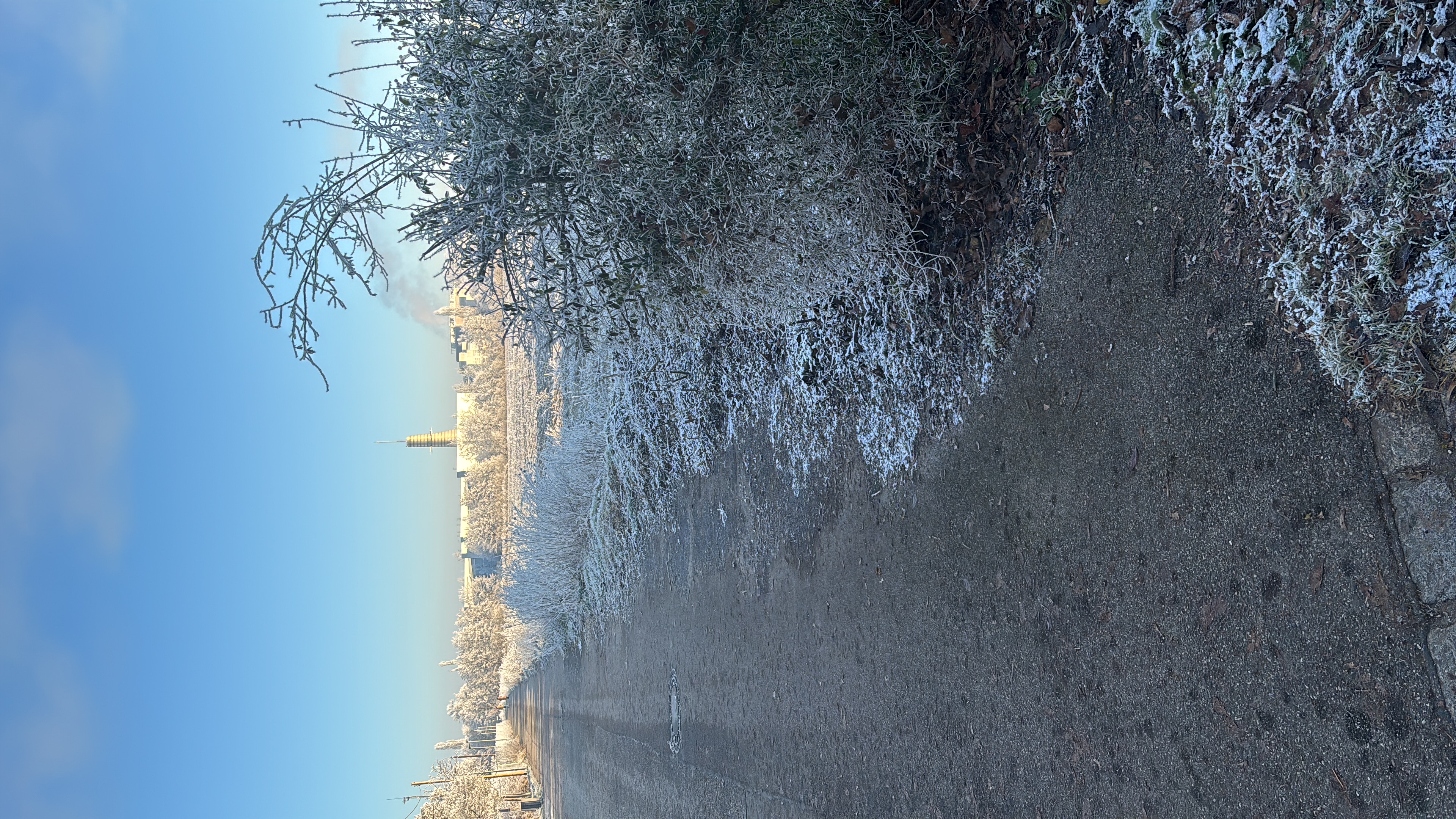 image-13