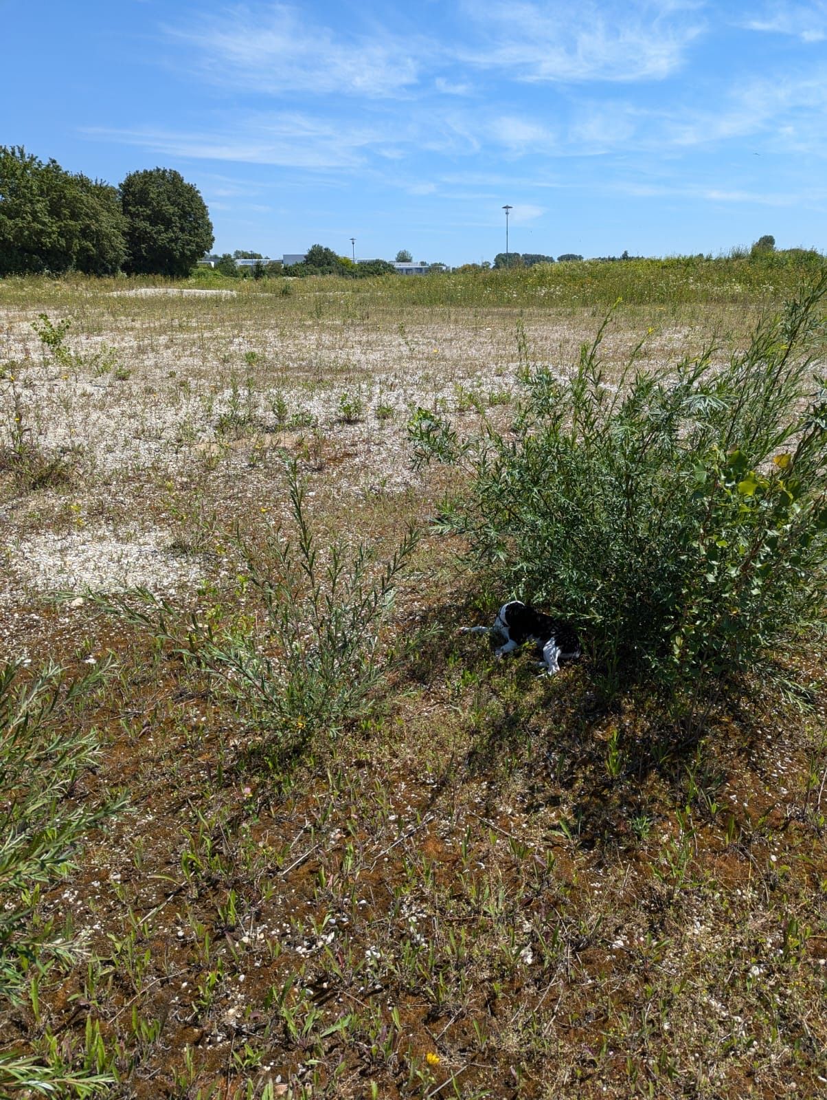 image-14