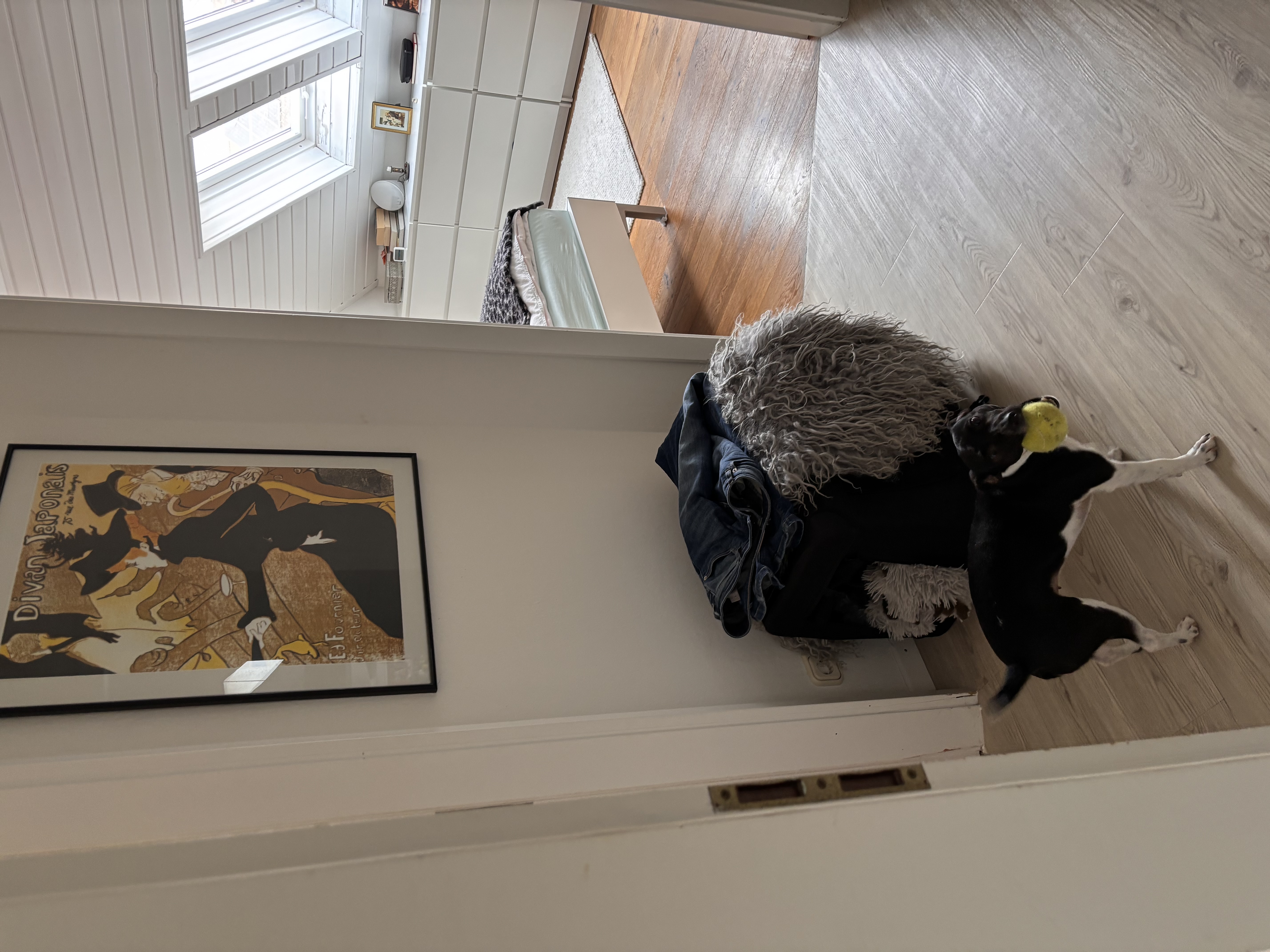 image-18