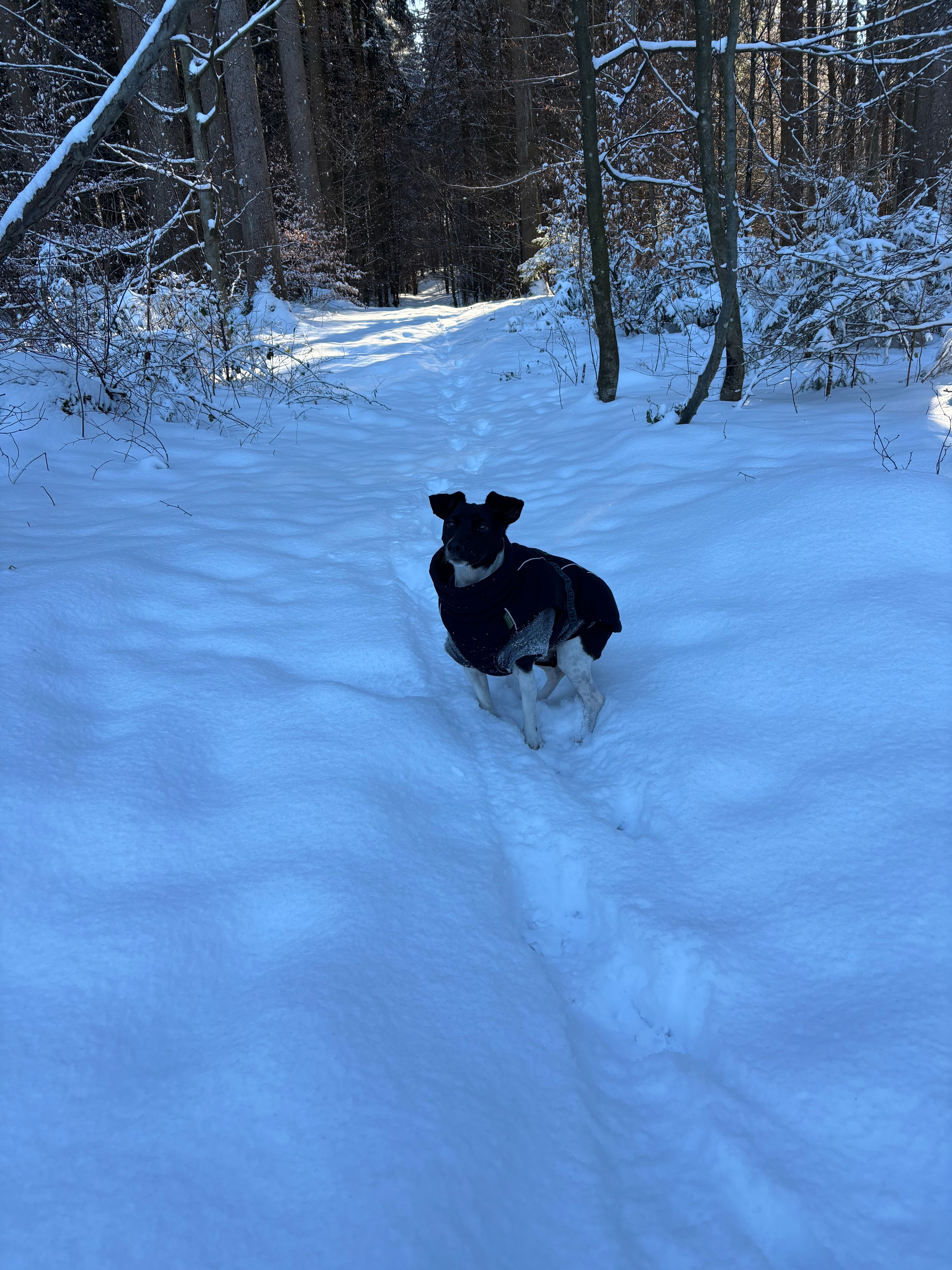 image-8
