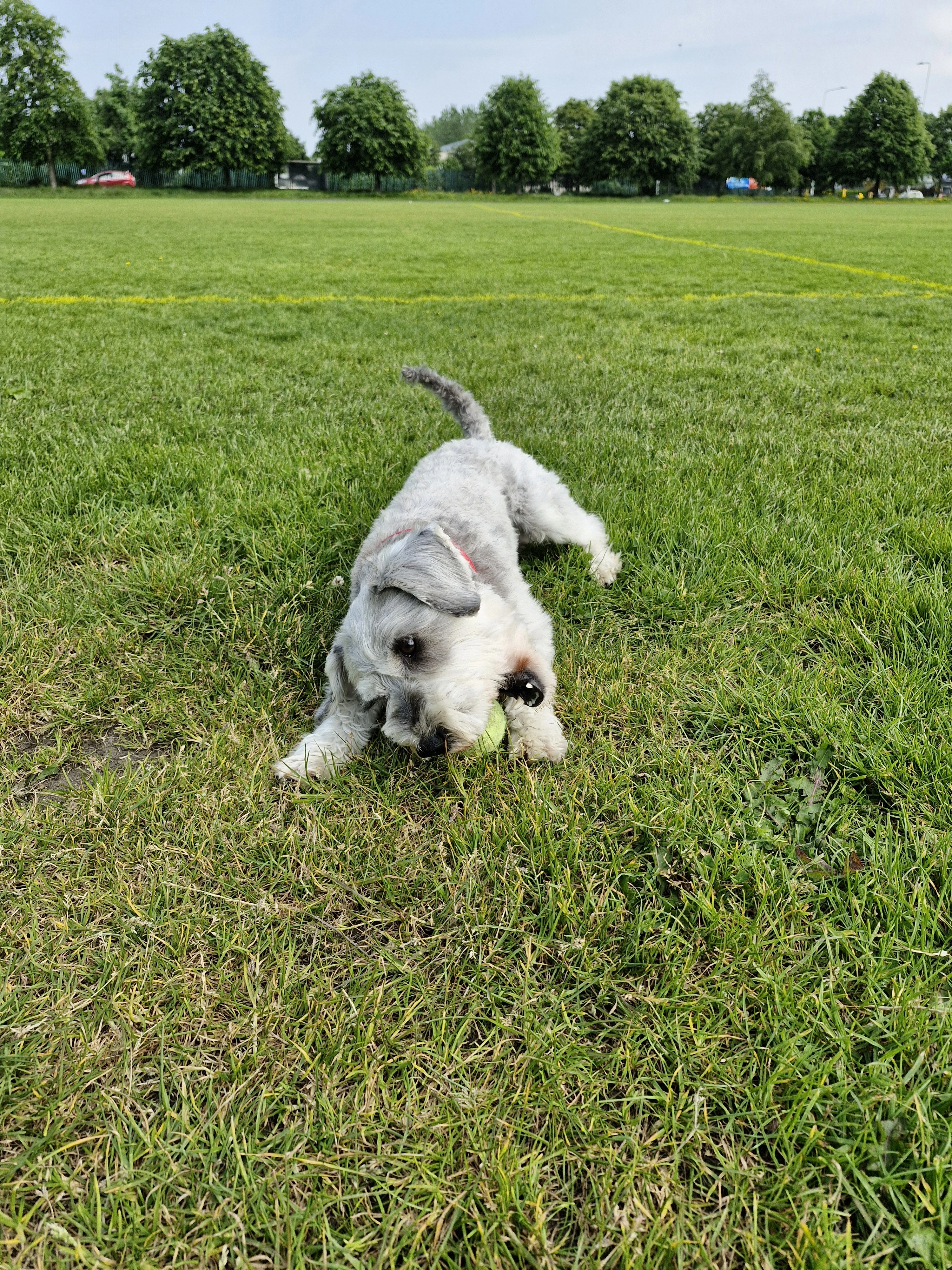 image-9