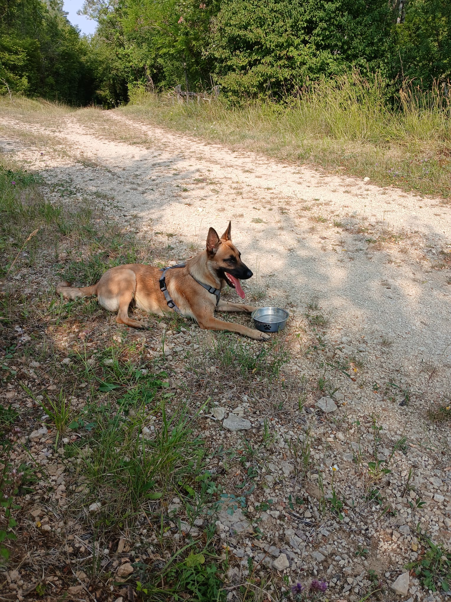 image-10