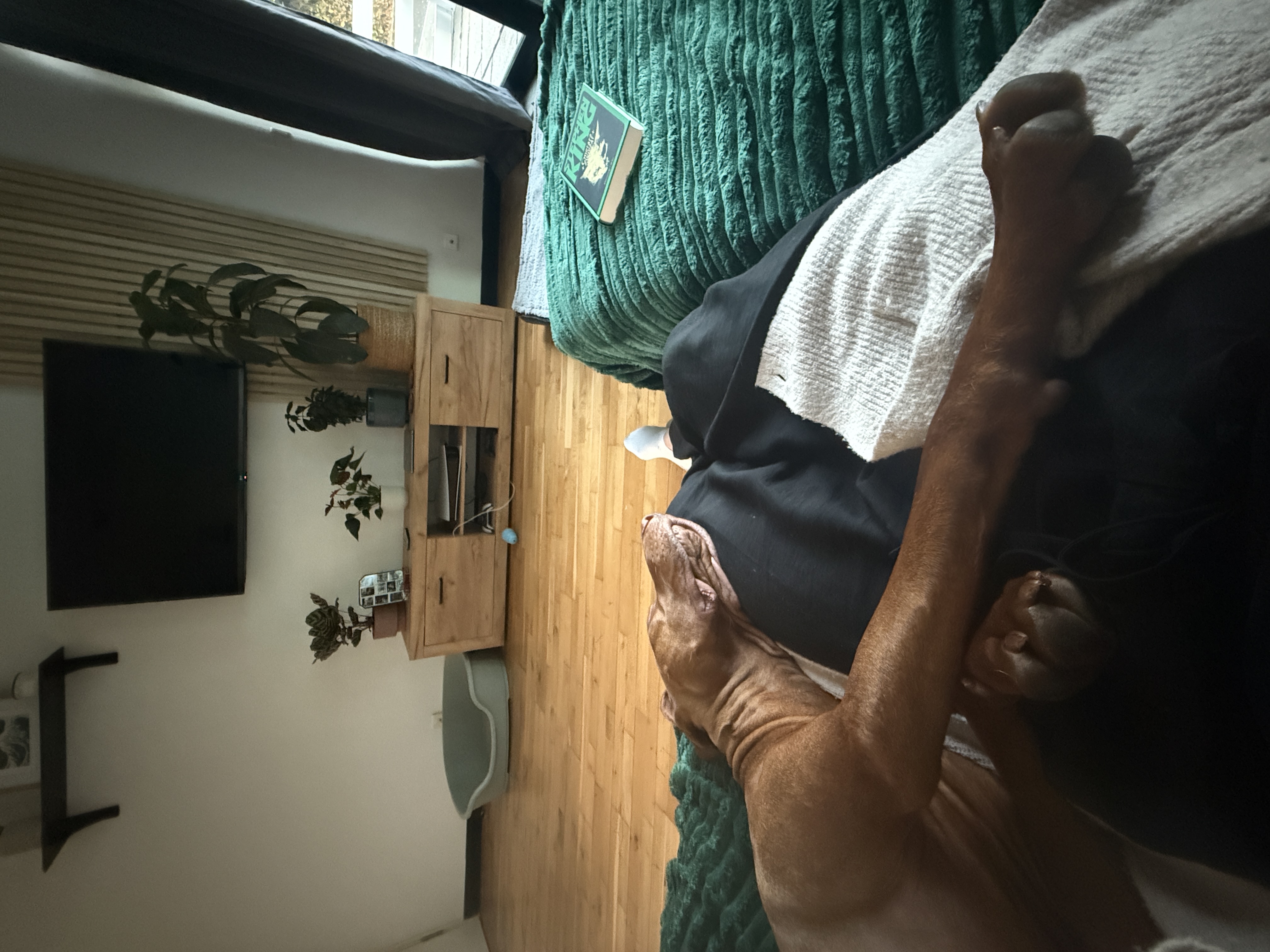image-7