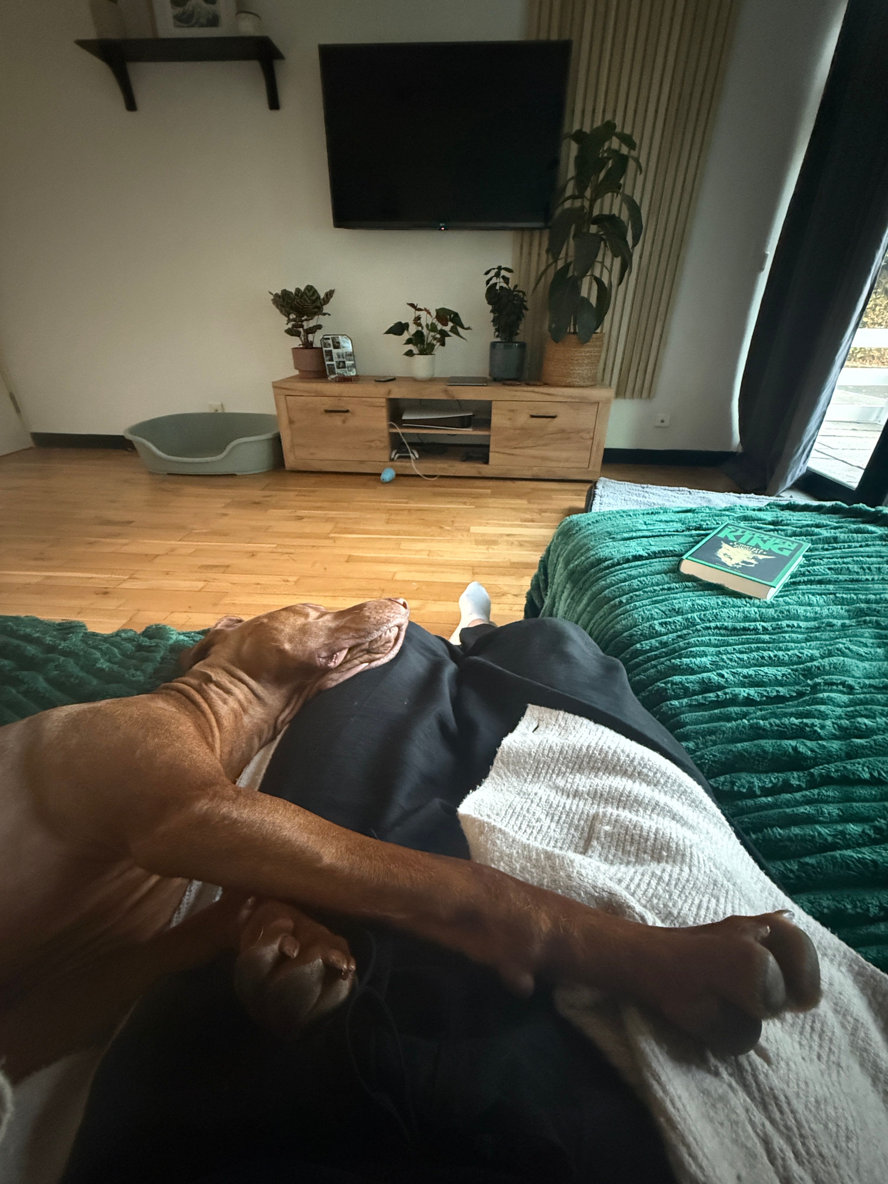 image-7