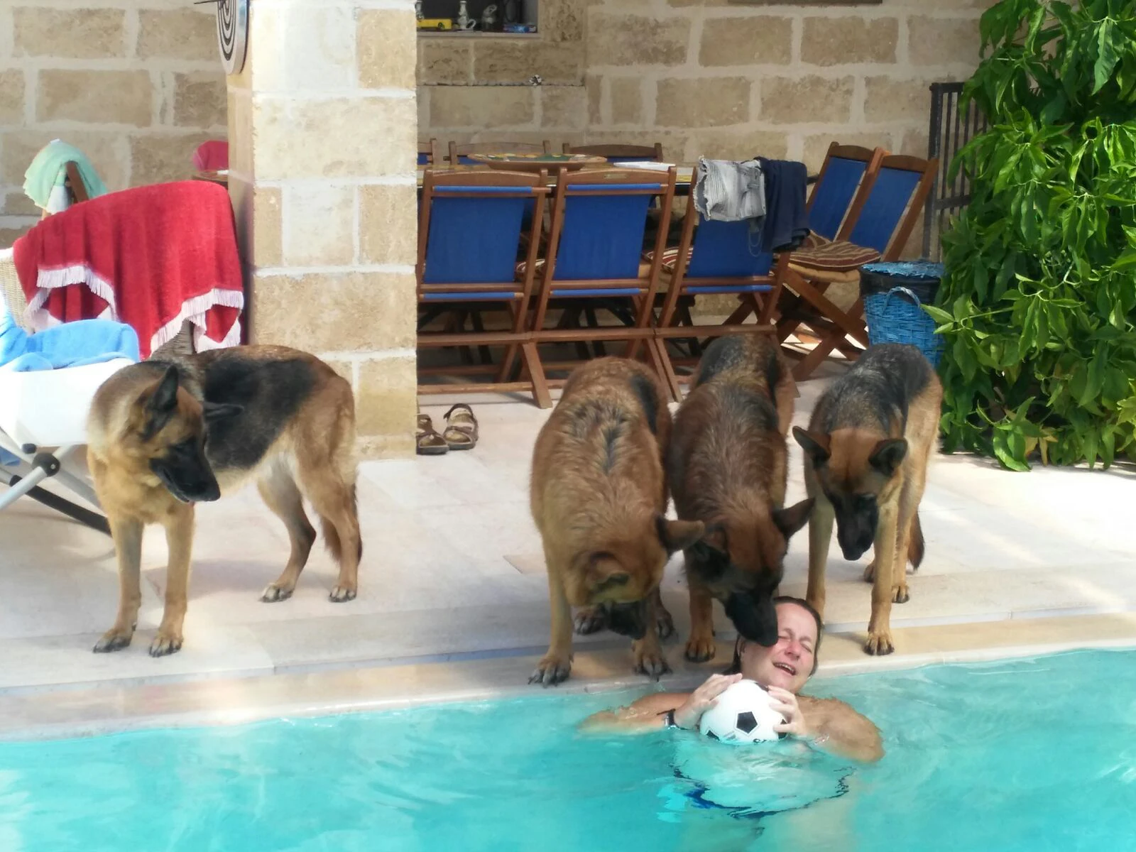image-12