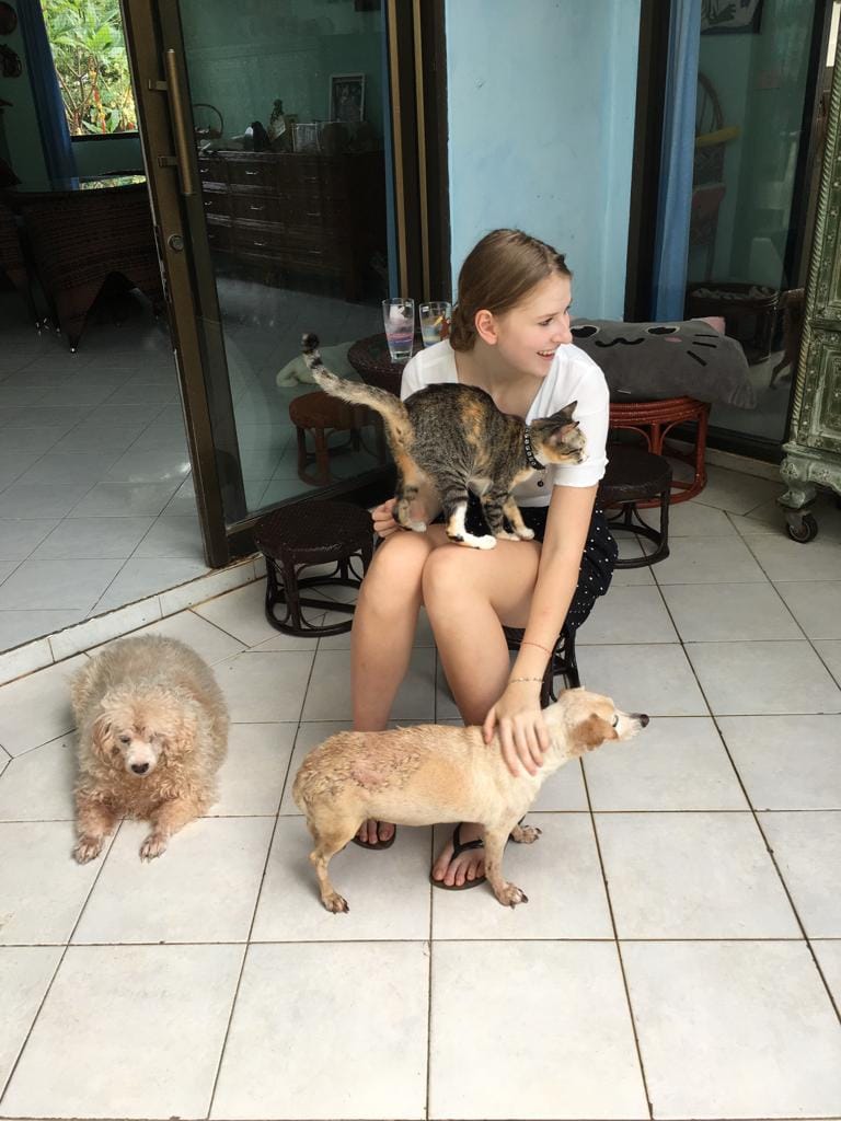 image-9