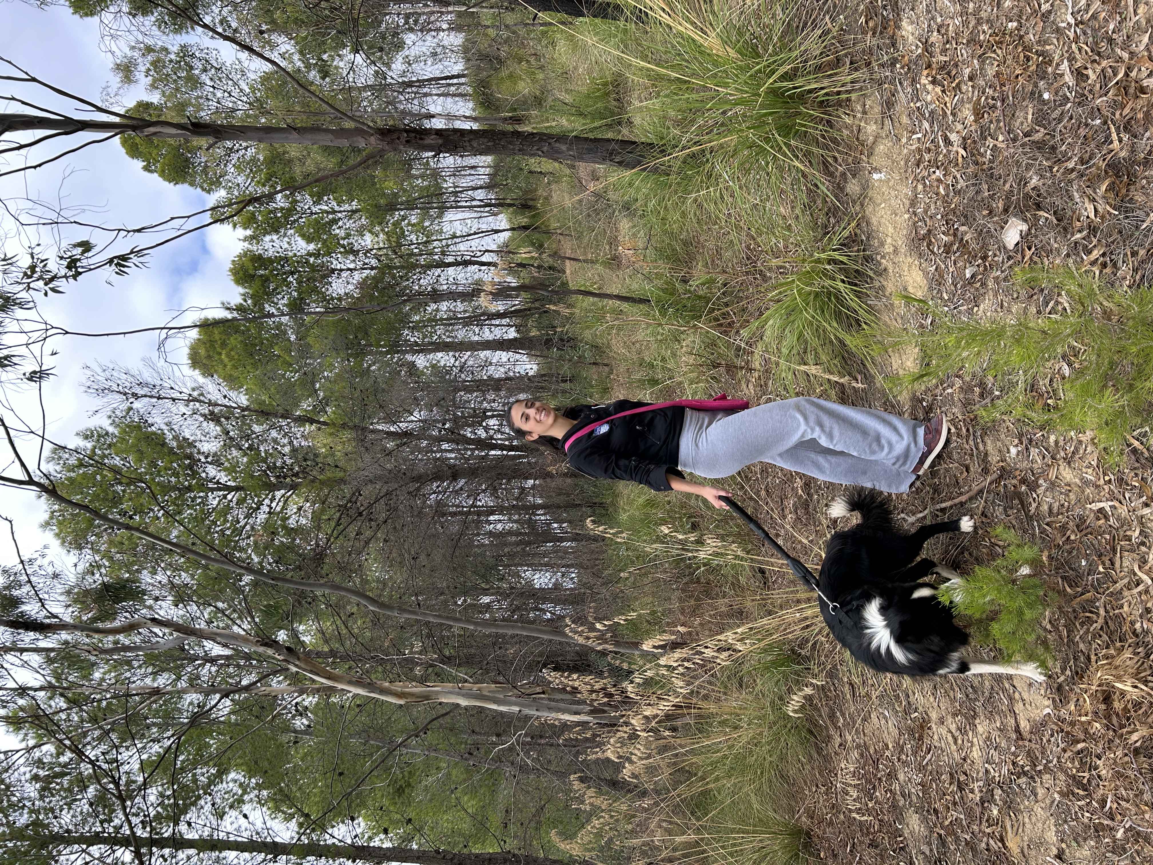 image-4