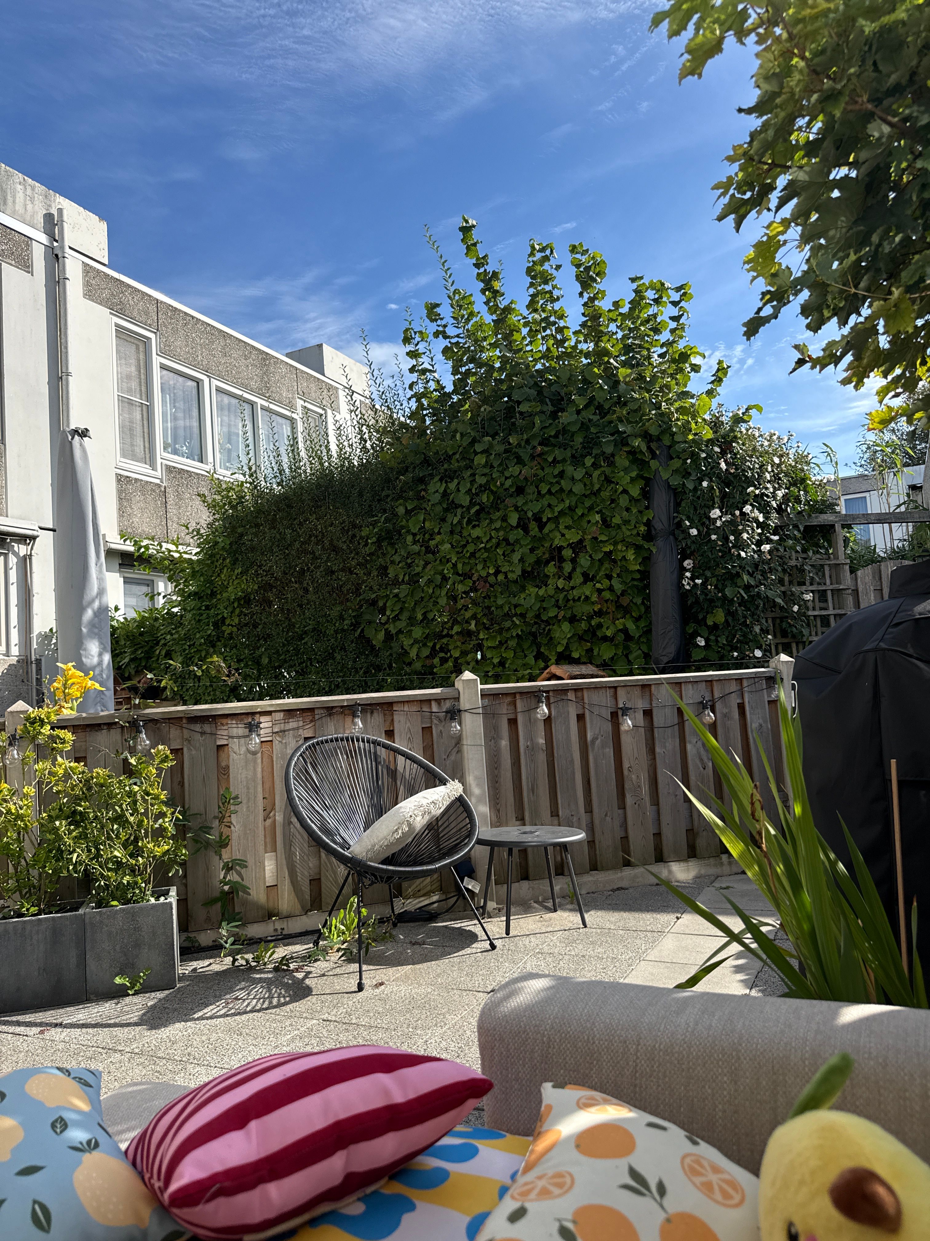 image-20