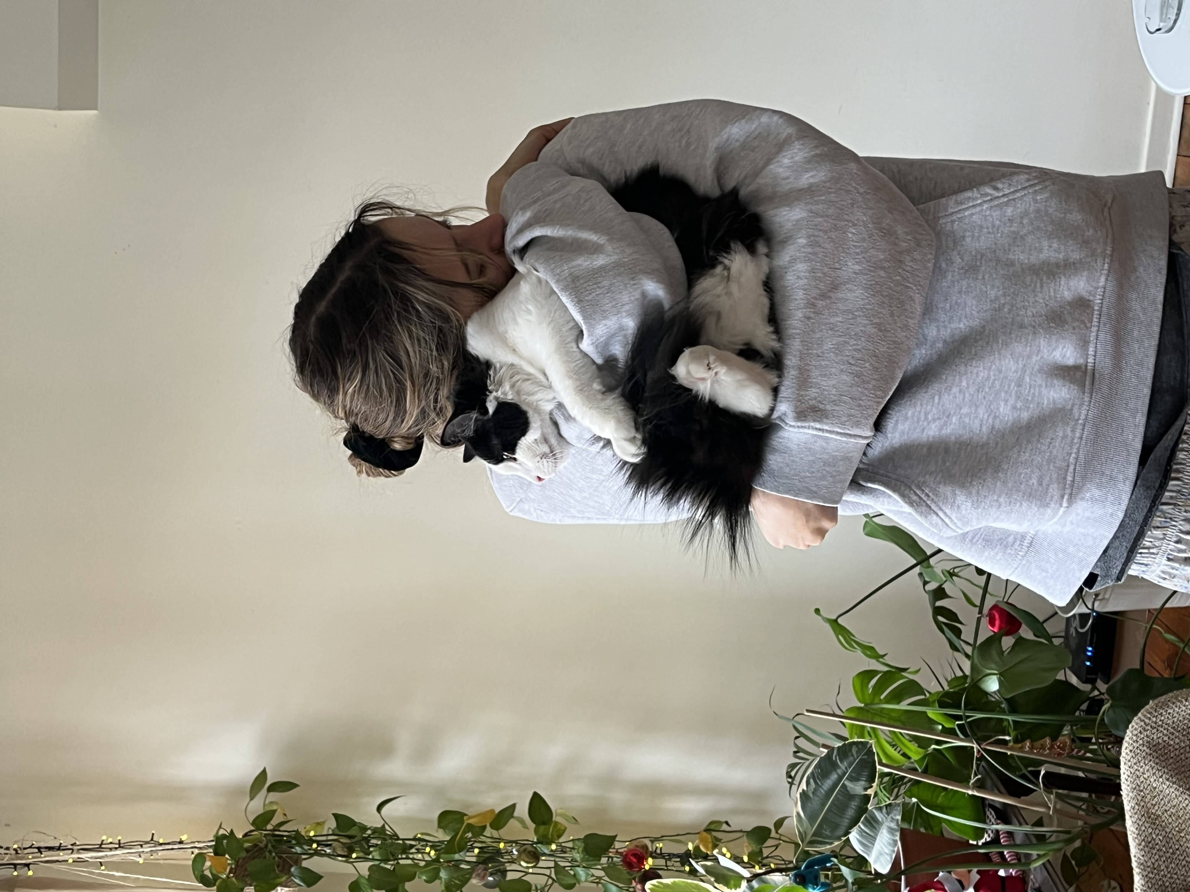 image-7