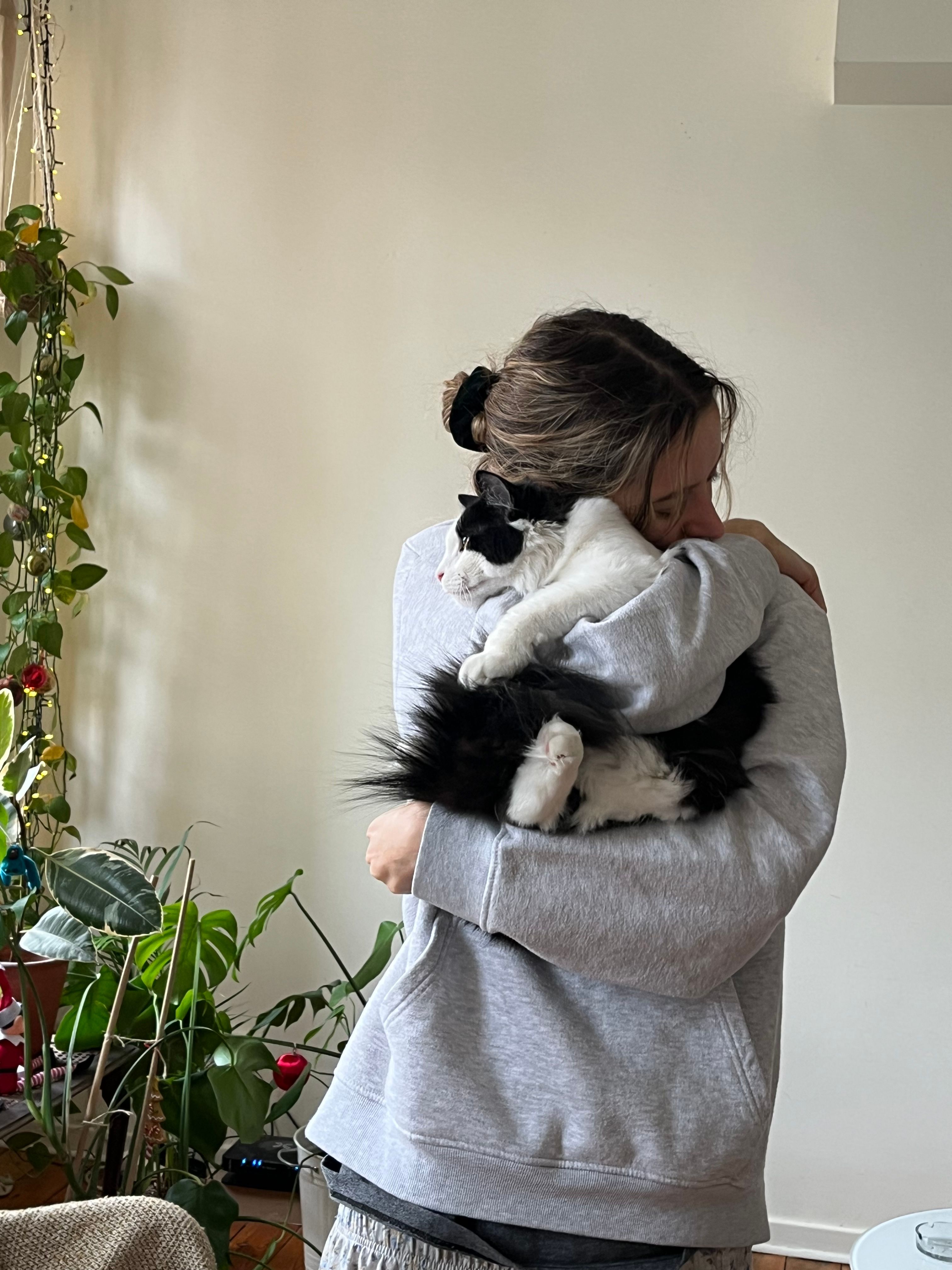 image-7