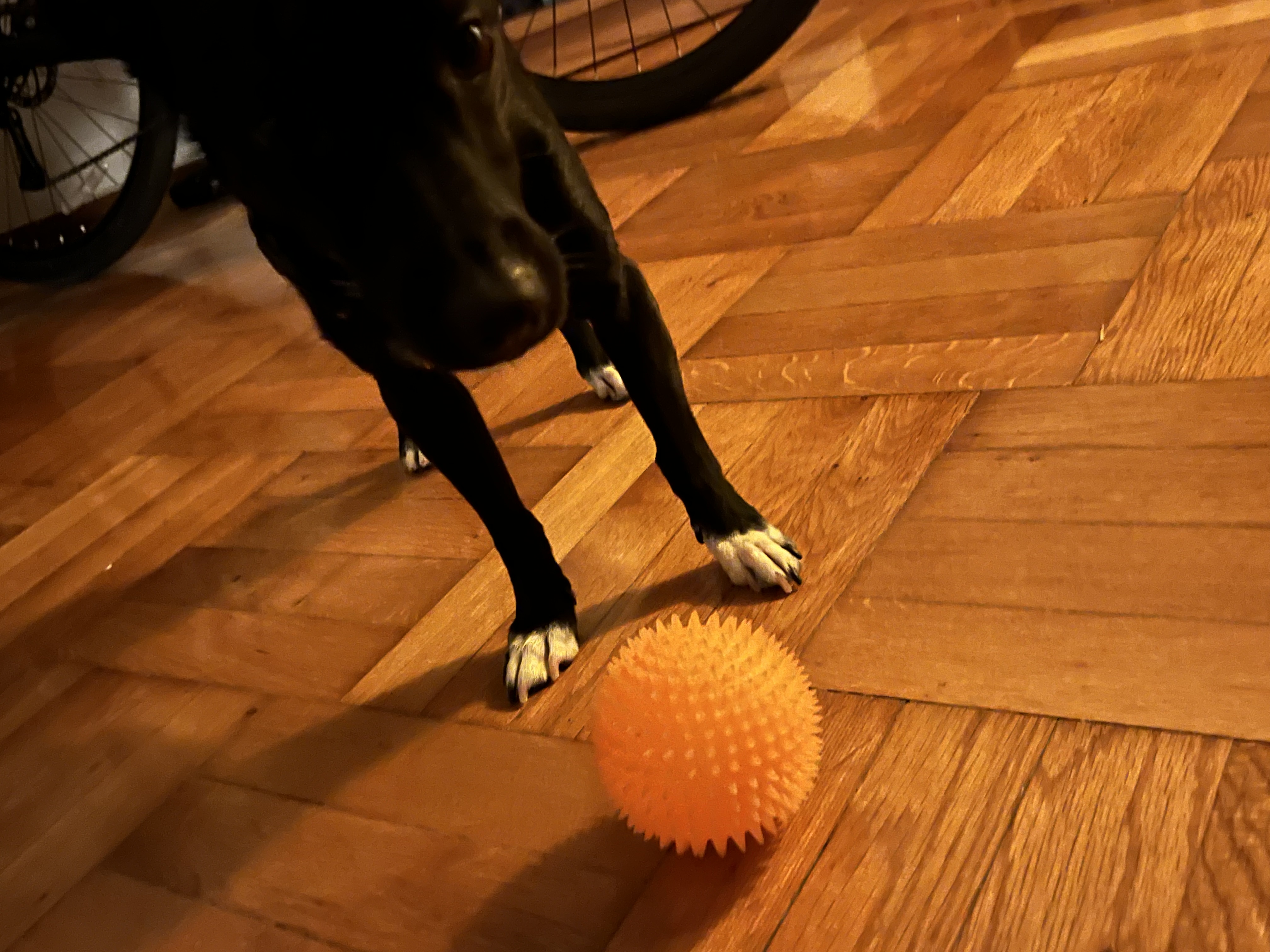image-6