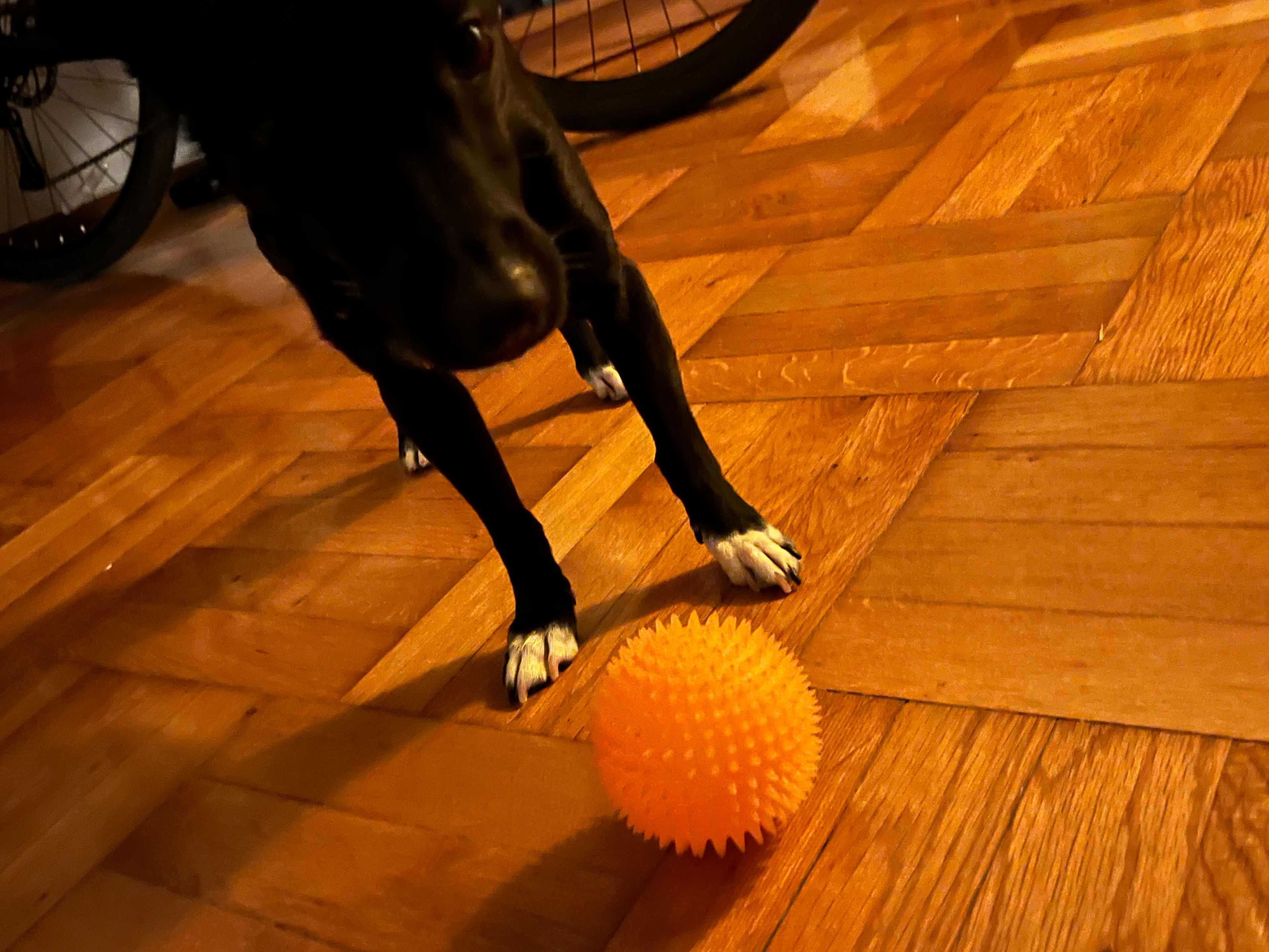 image-6