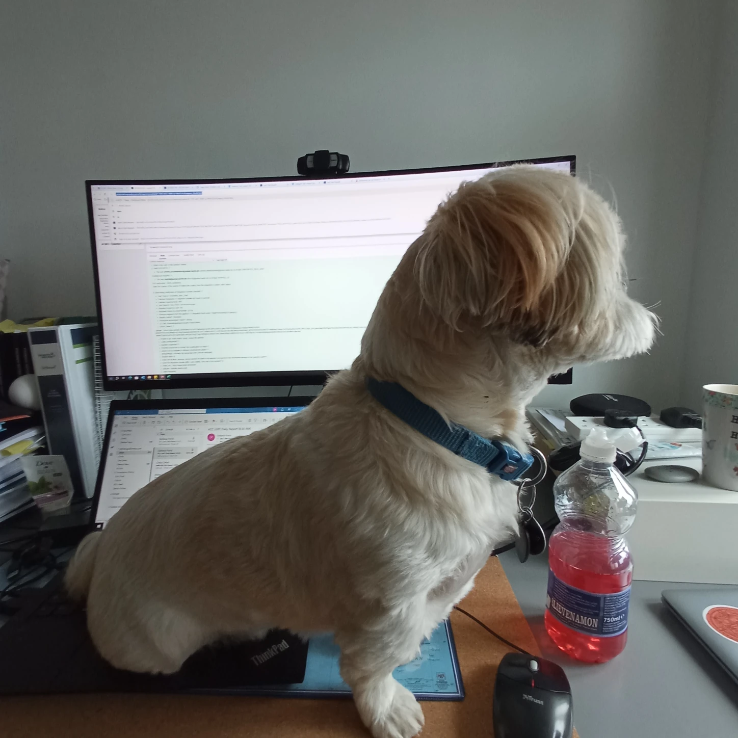 image-4