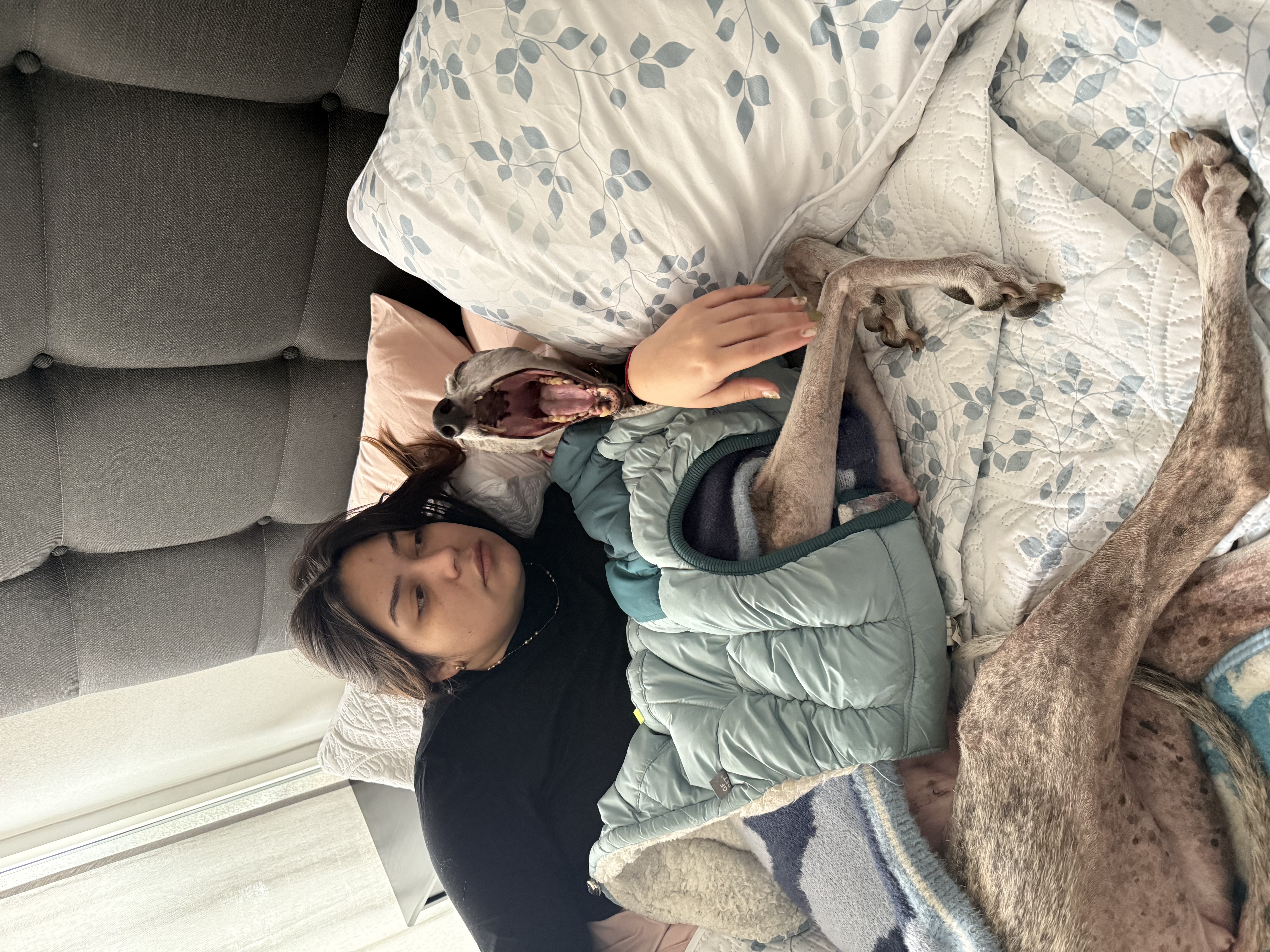 image-9