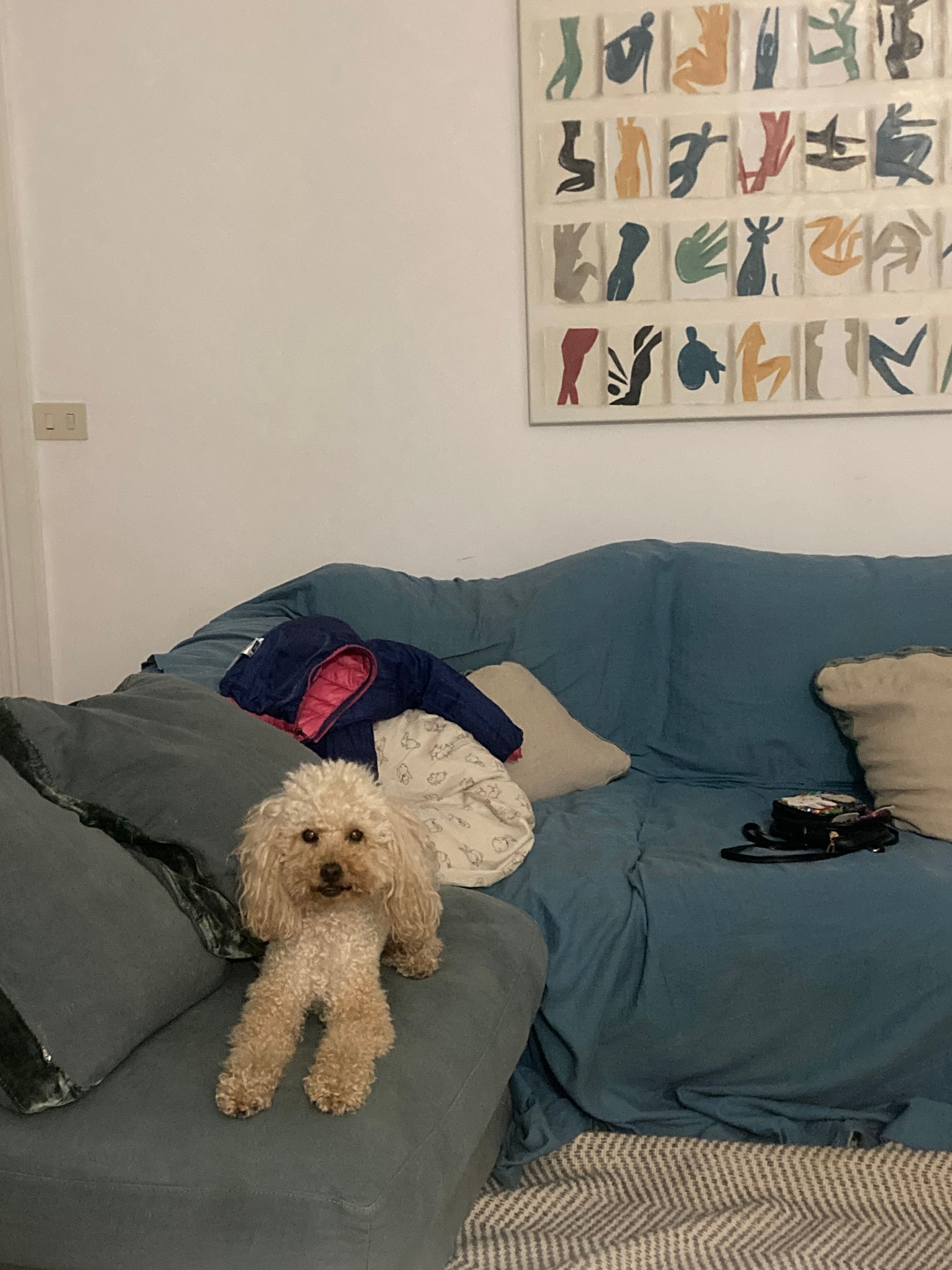 image-12