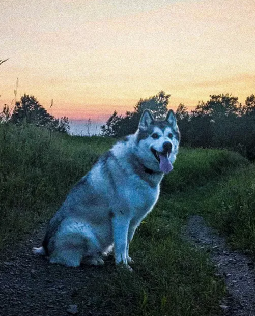image-17