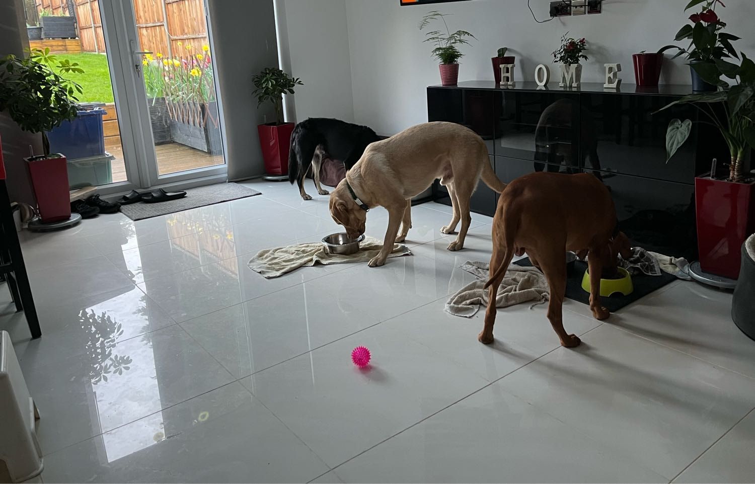 image-18