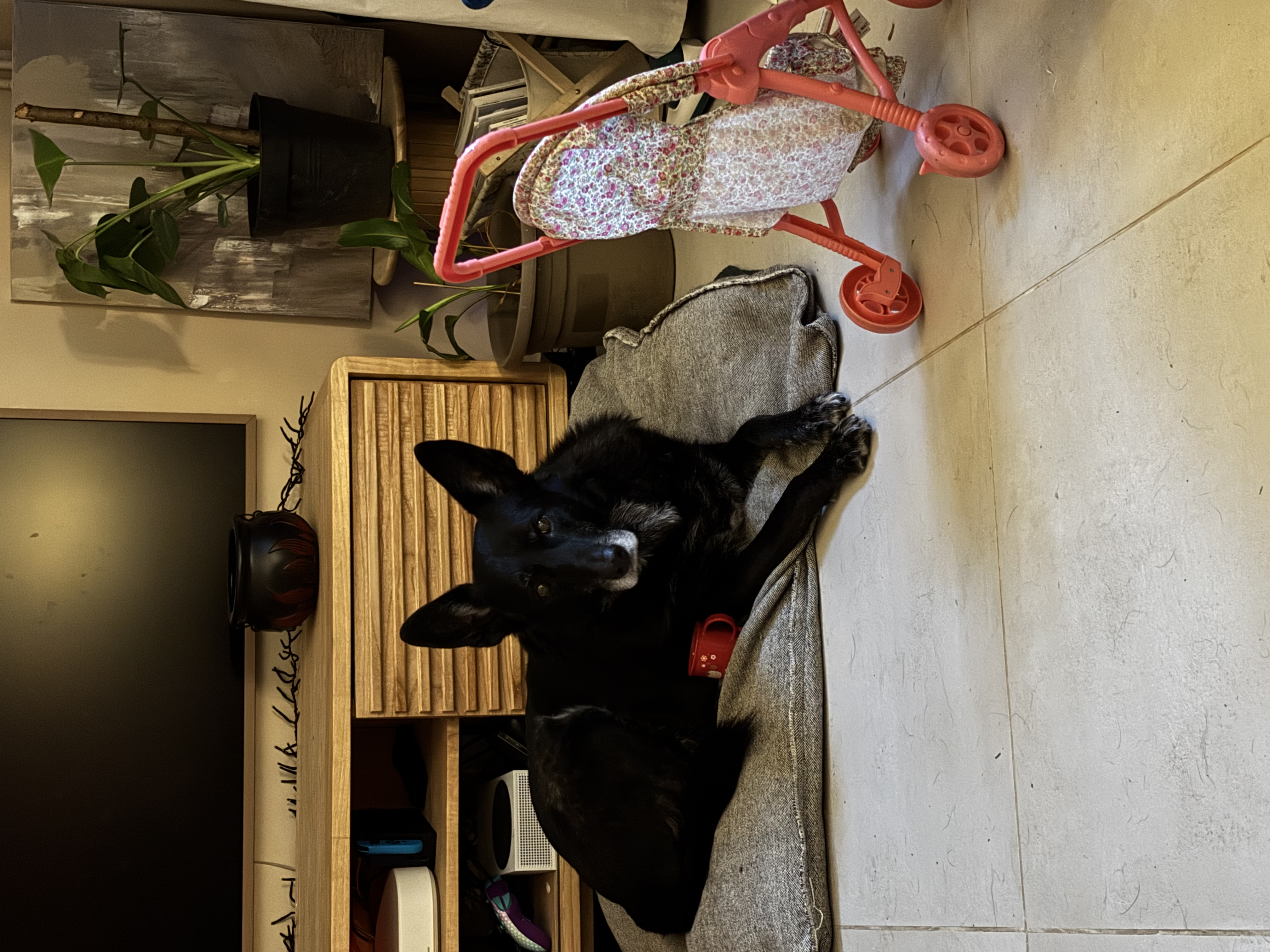image-10