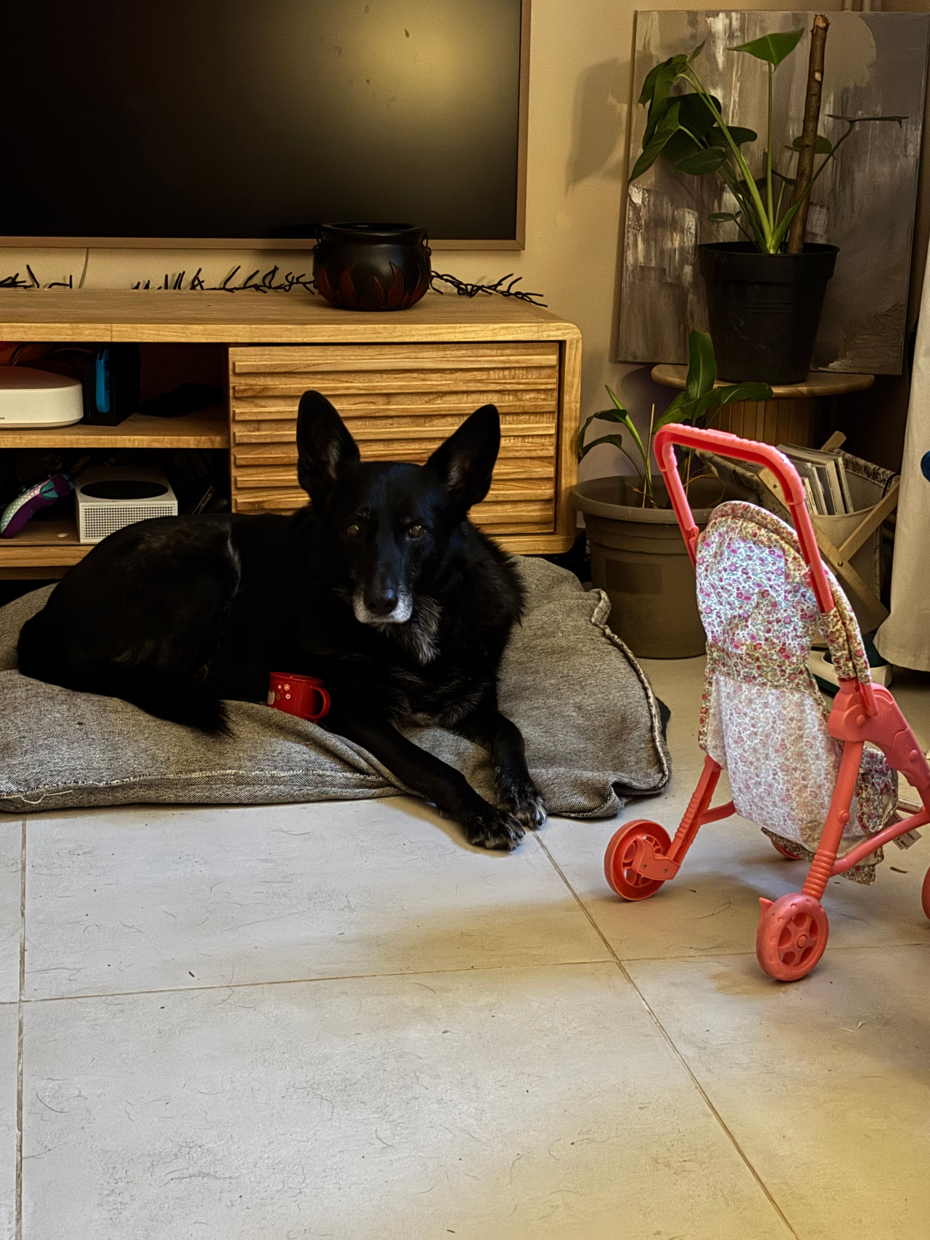 image-10
