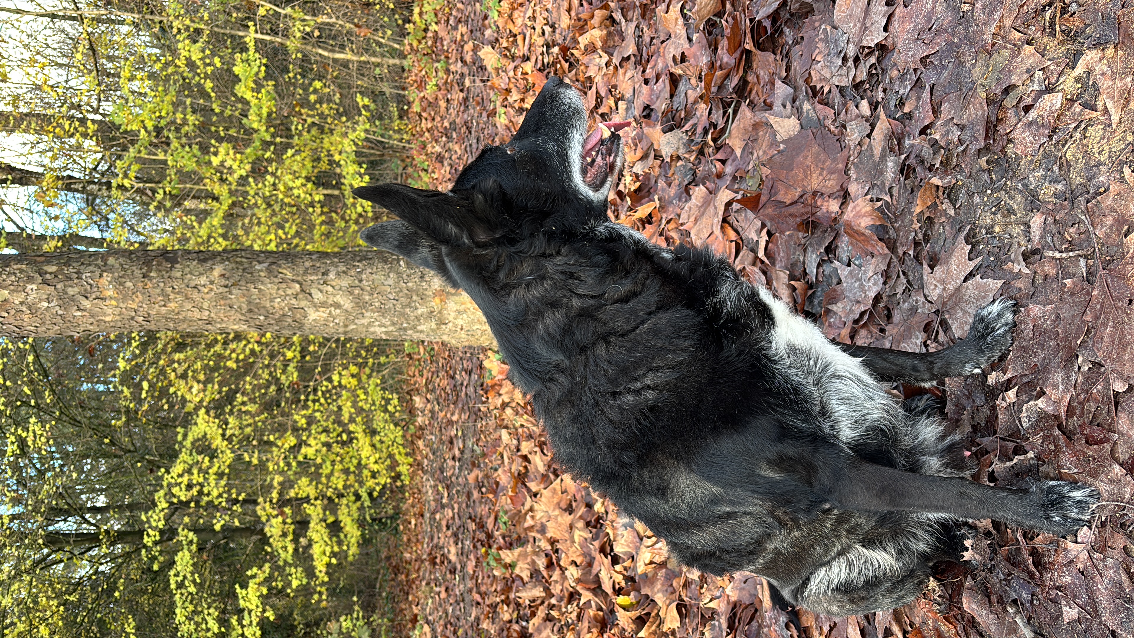 image-9