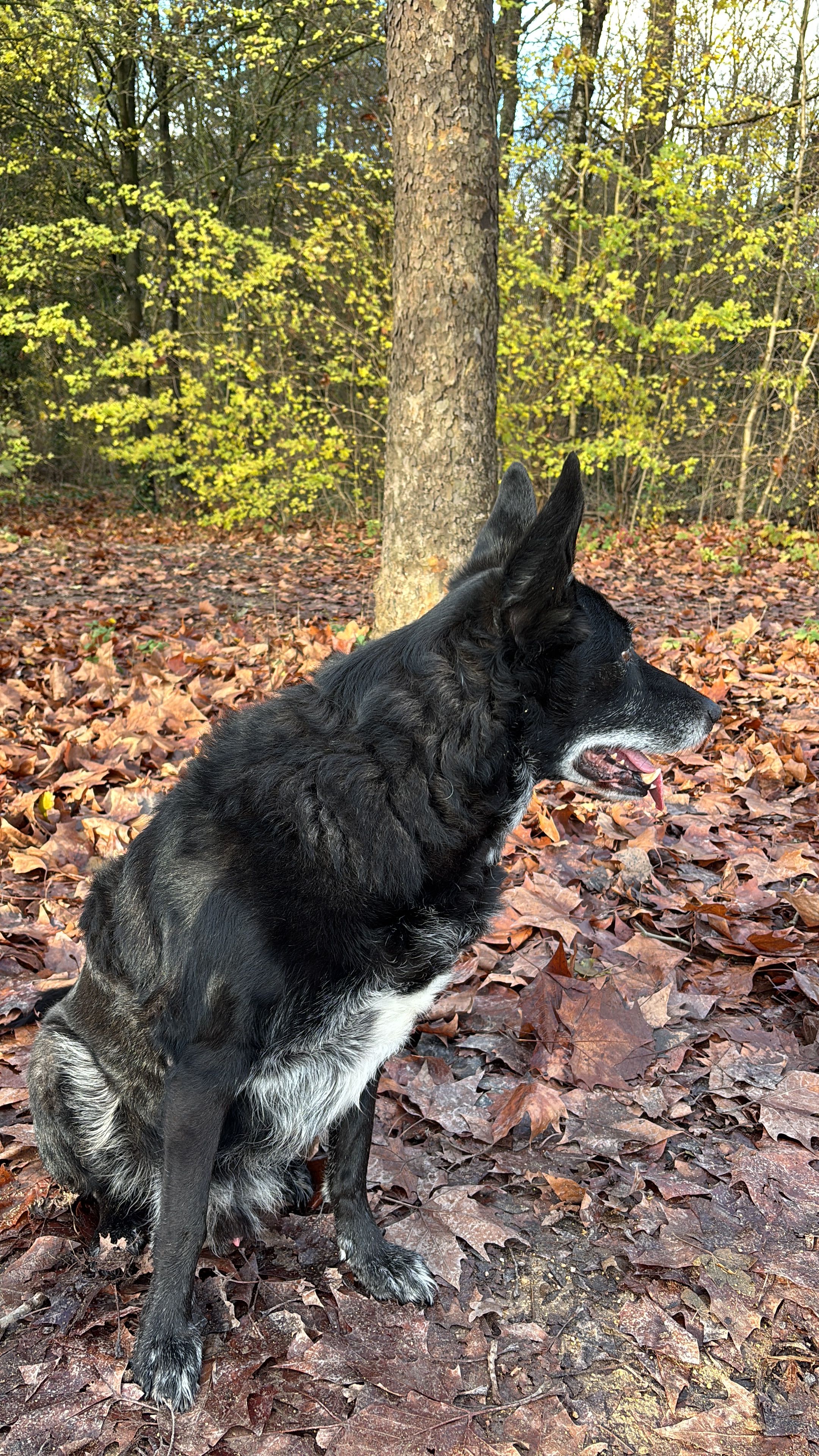 image-9