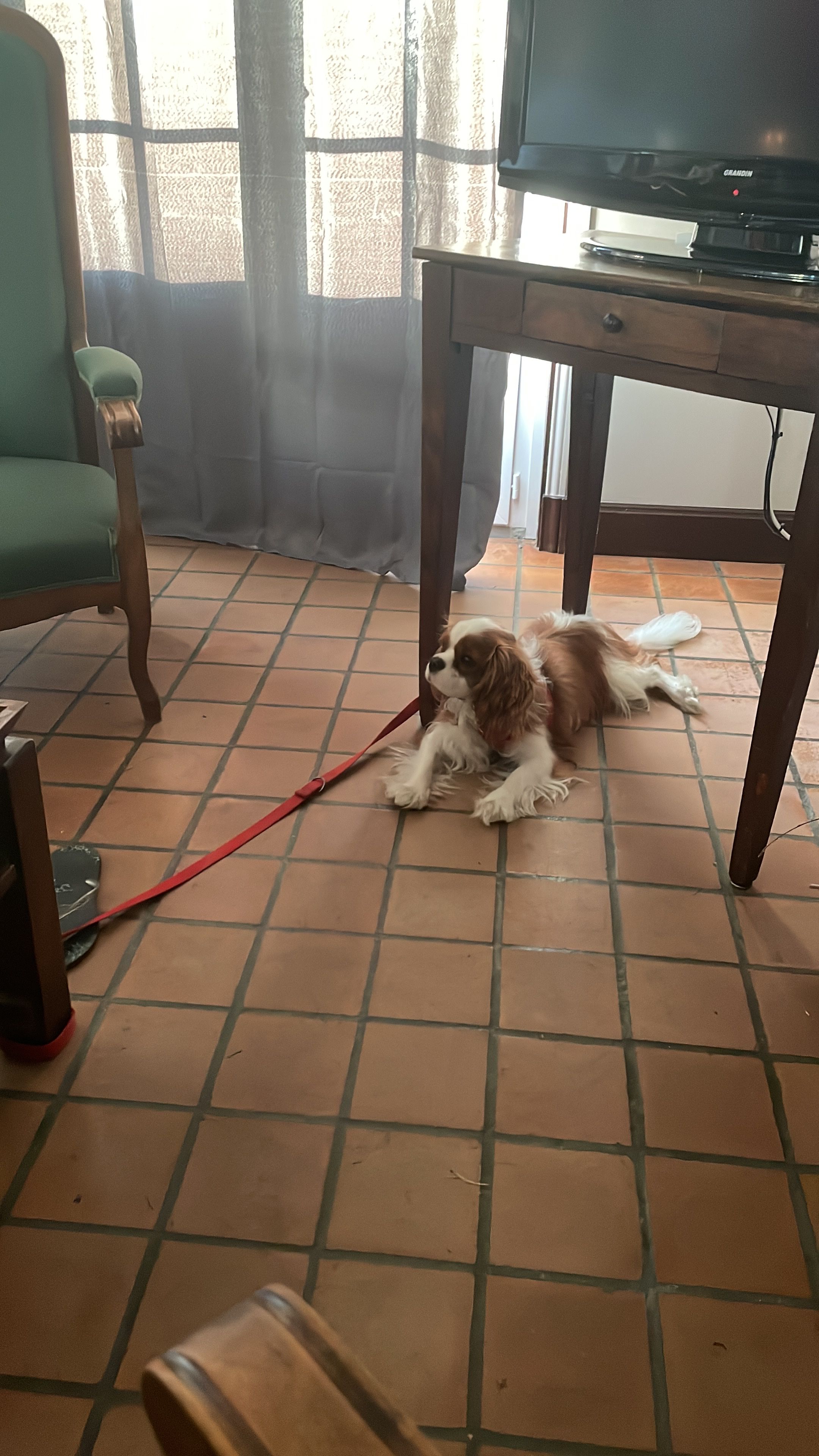image-13