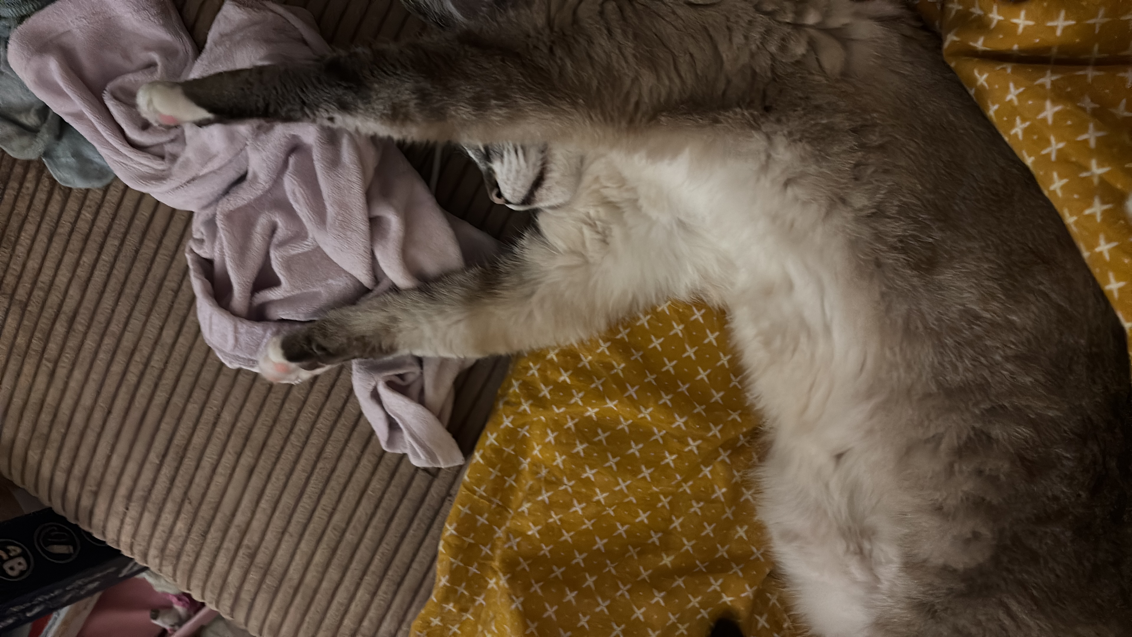 image-7