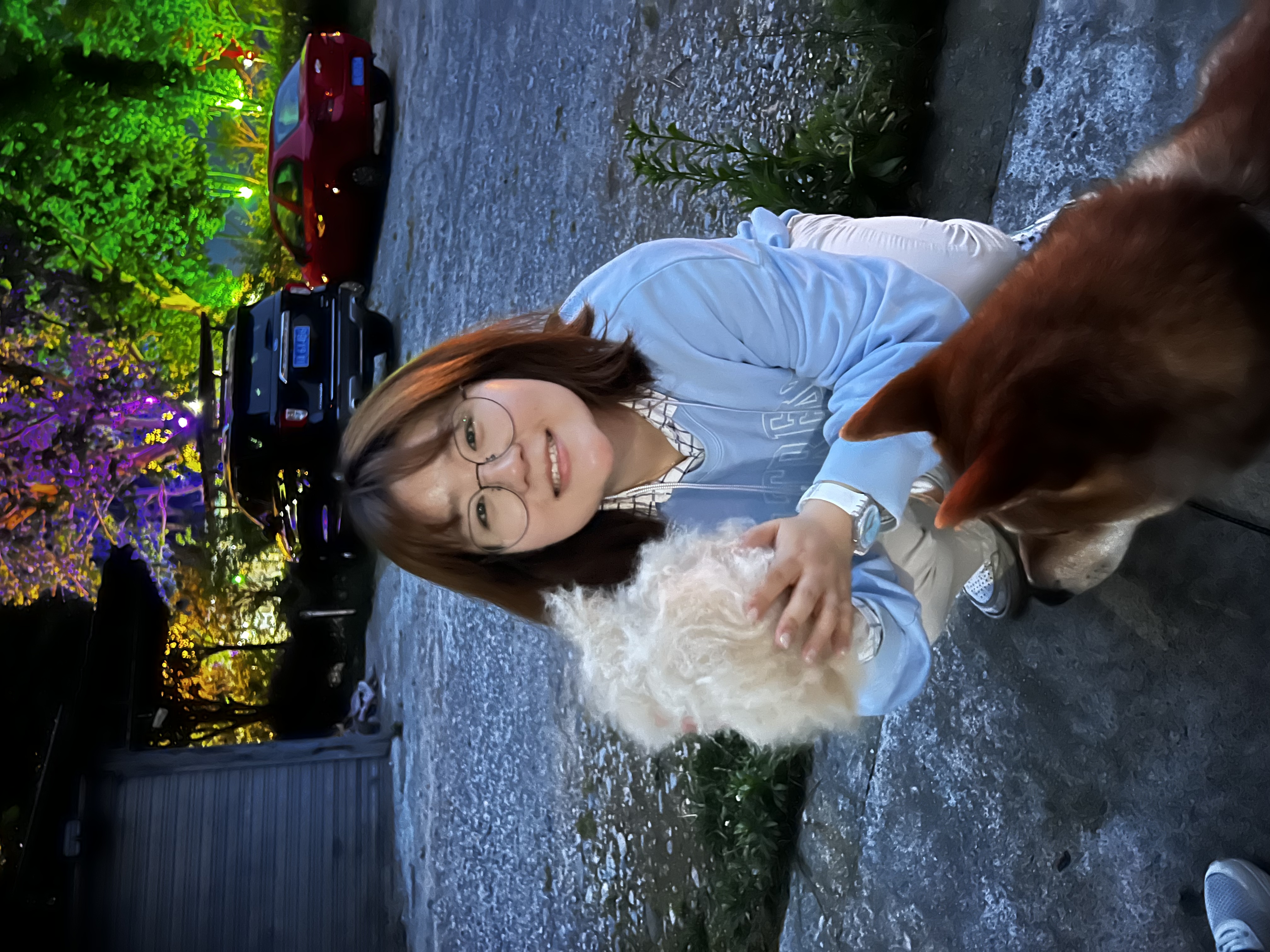 image-5