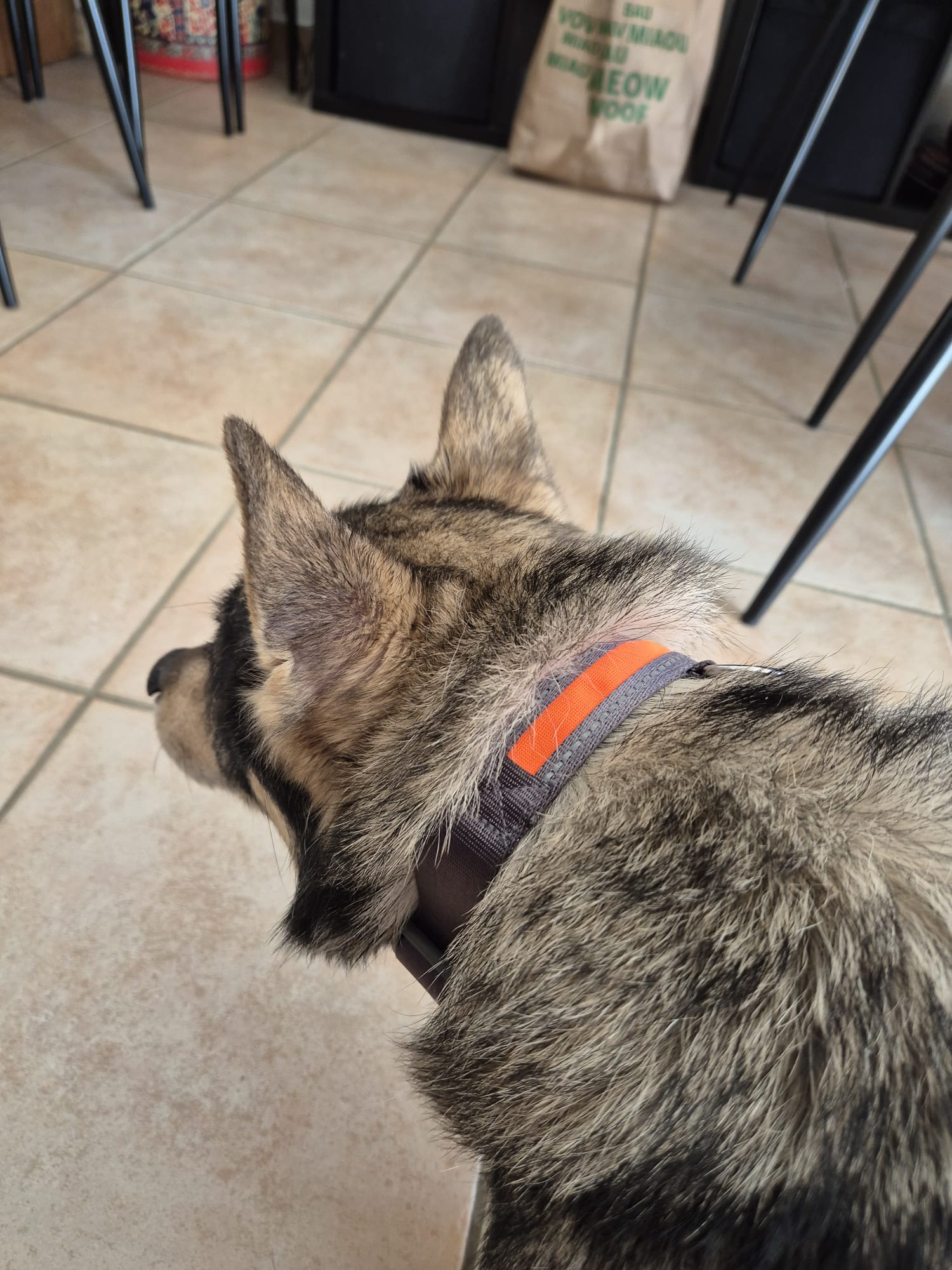 image-27