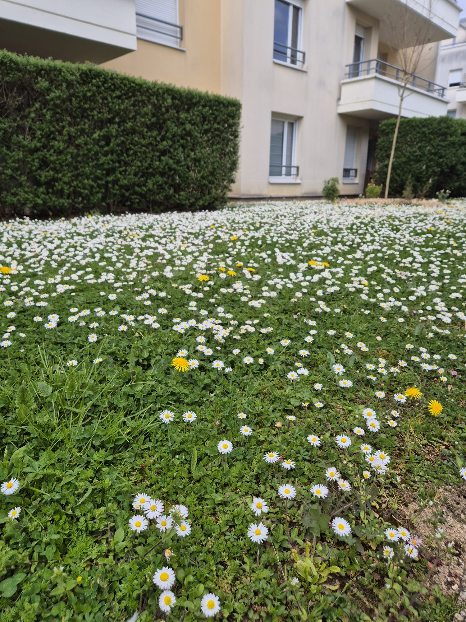 image-42