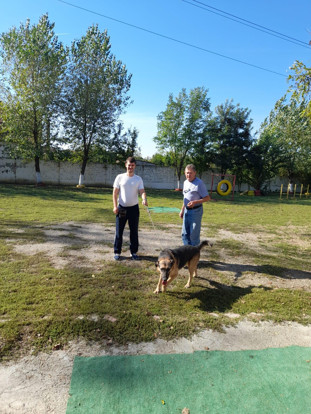 image-4