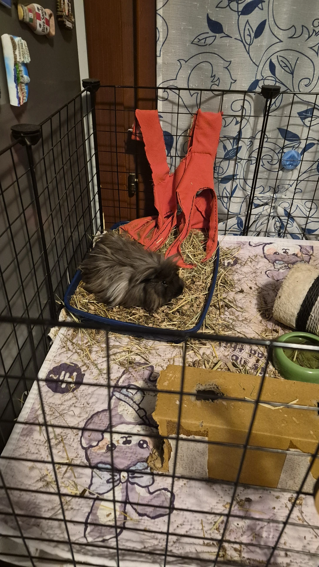 image-17