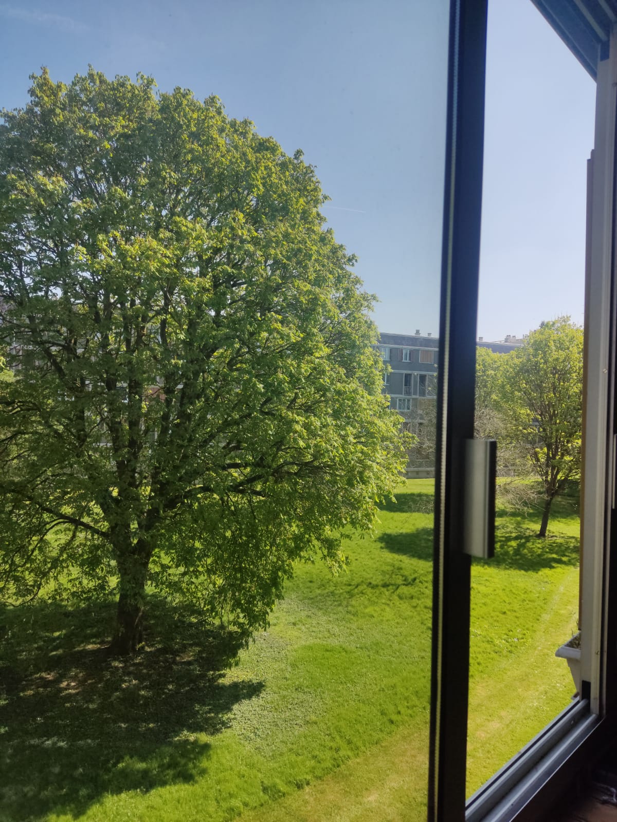 image-25