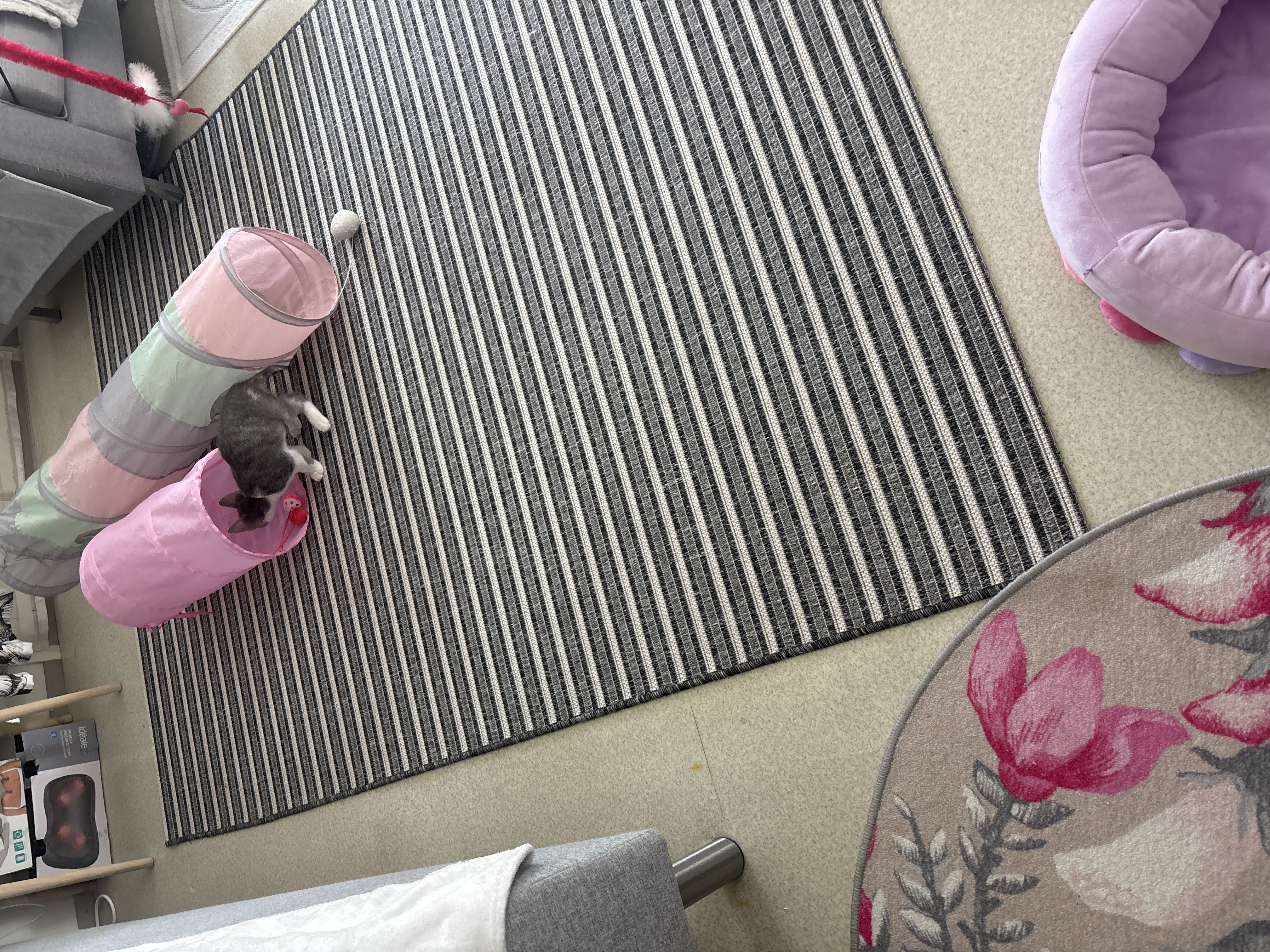 image-13