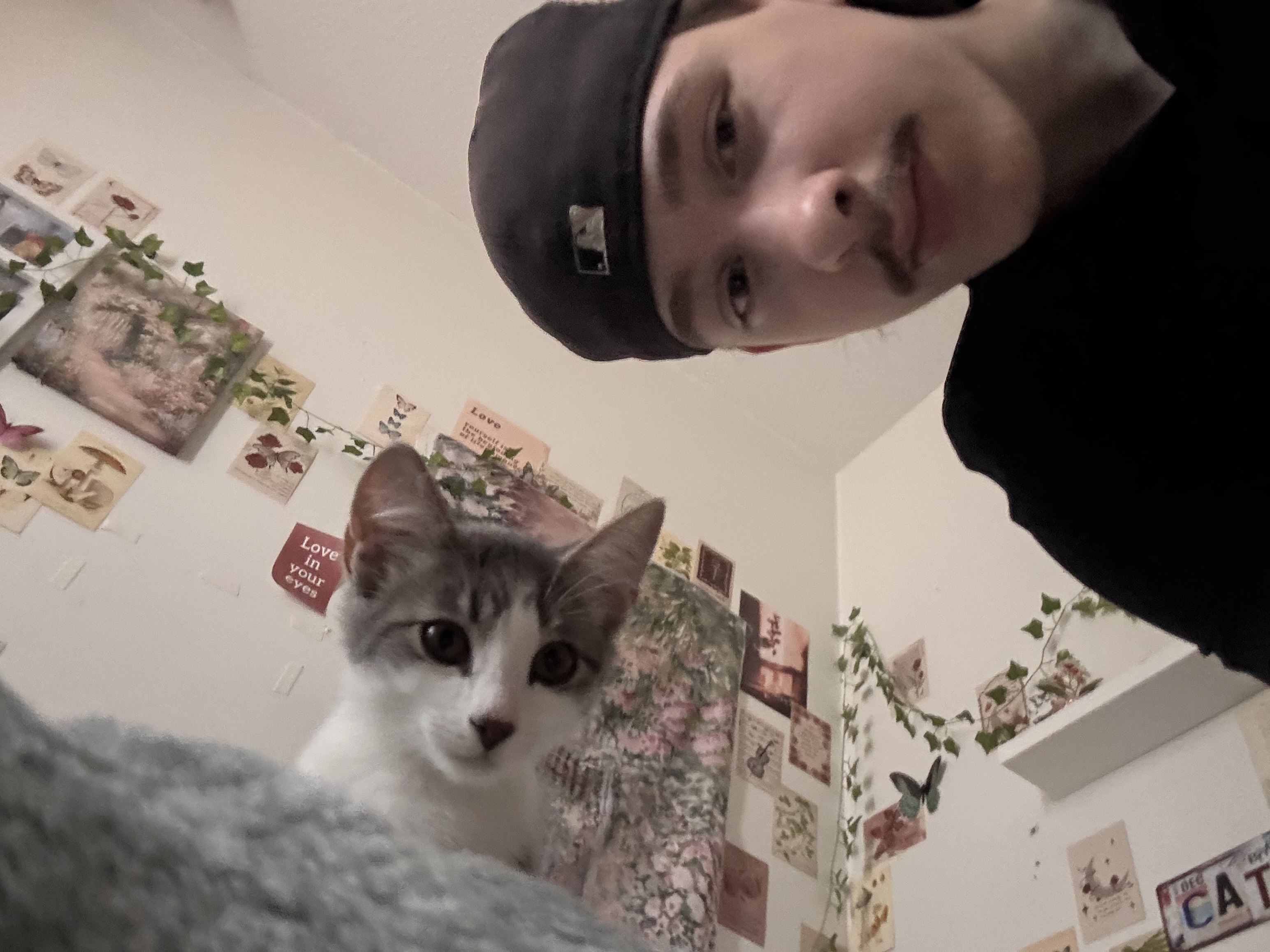 image-10