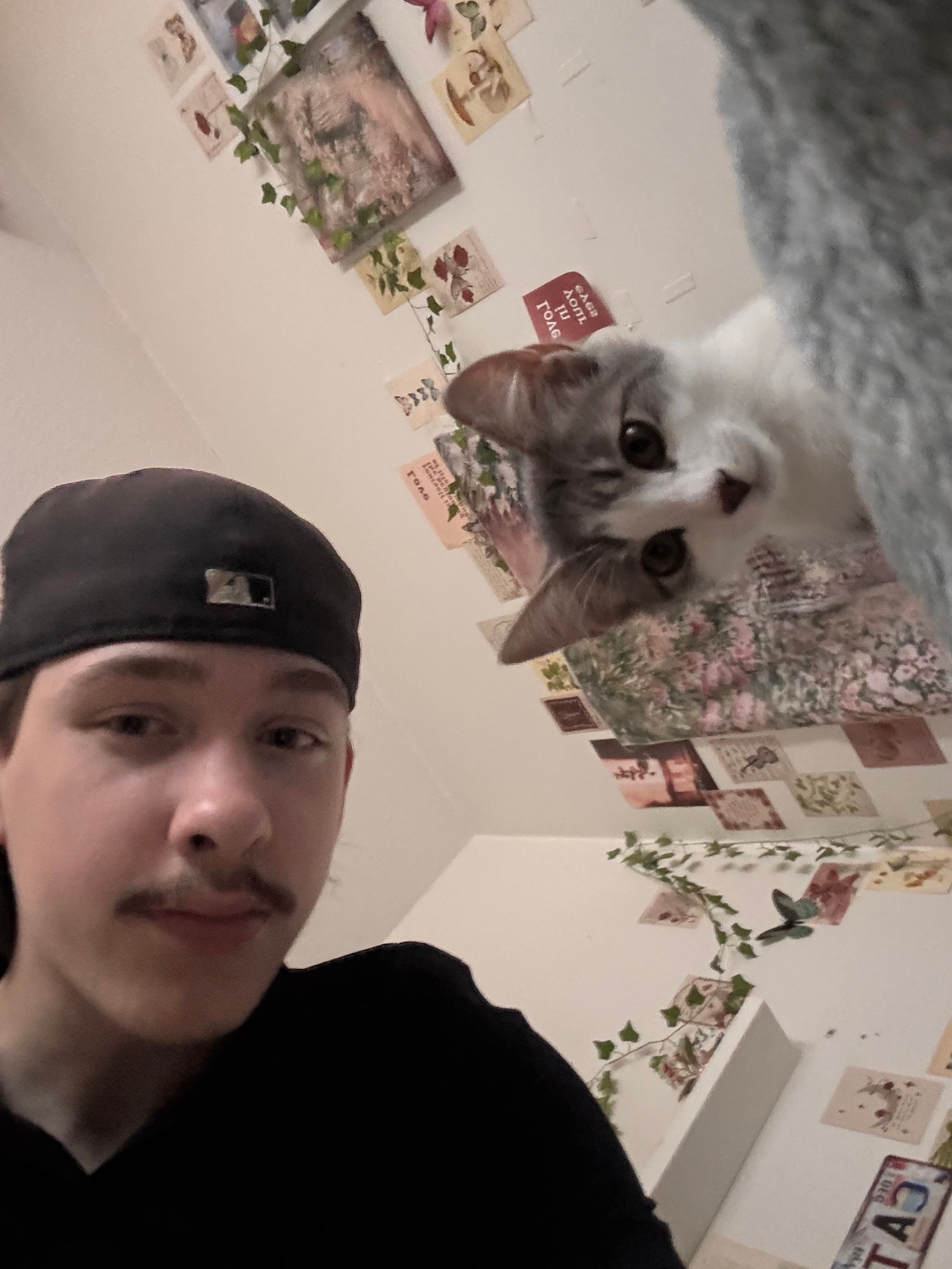 image-10