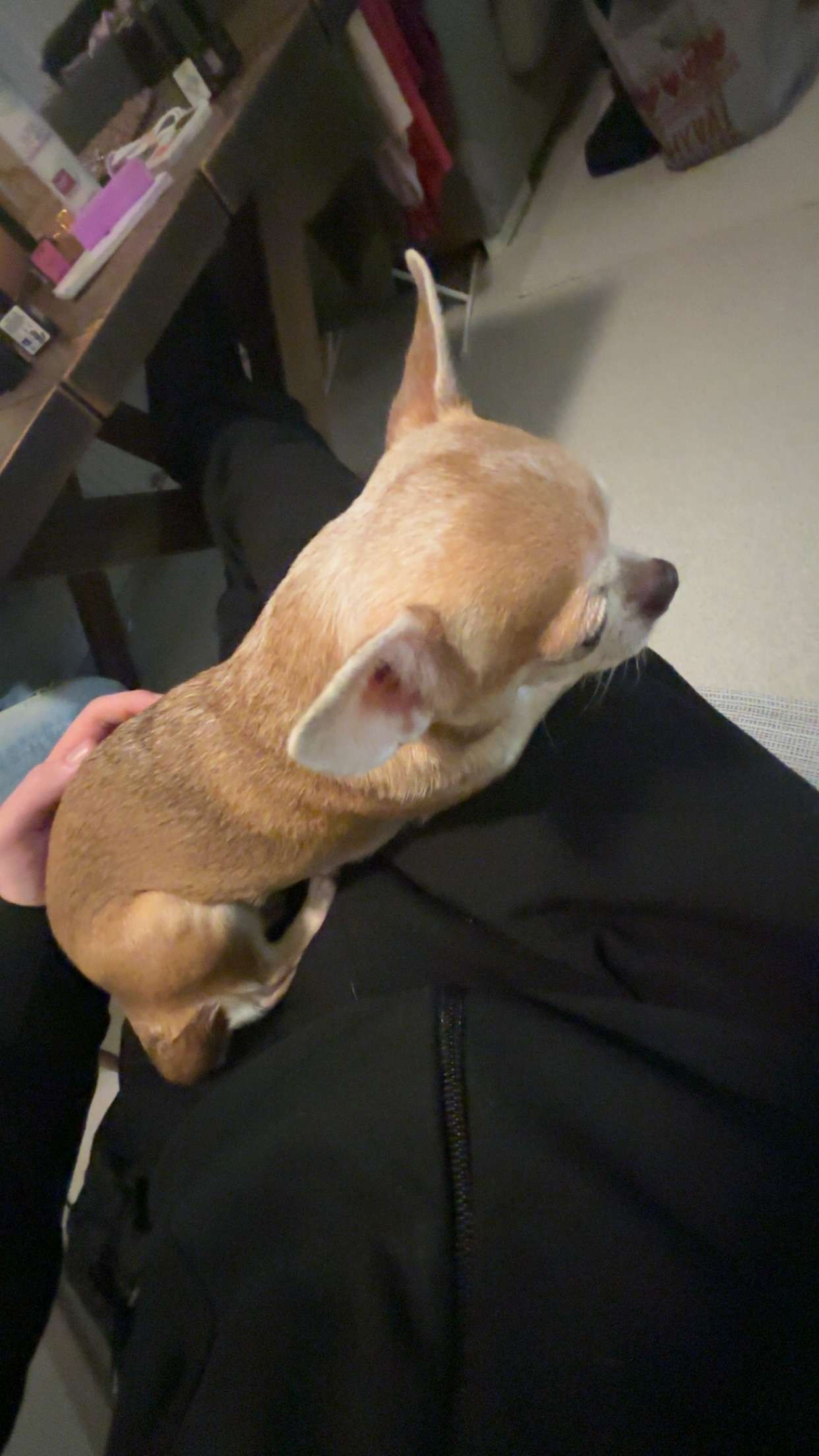 image-6