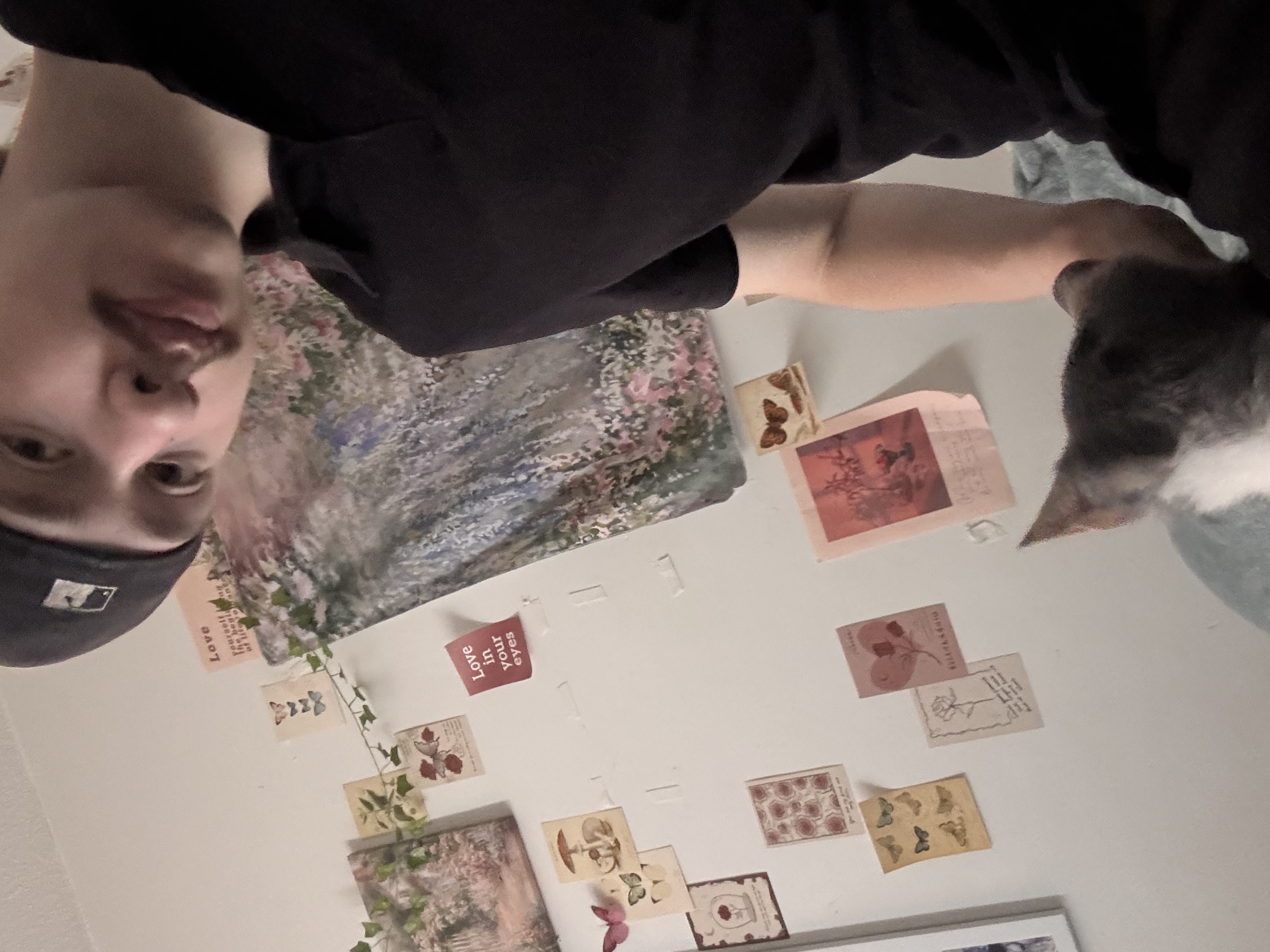 image-11
