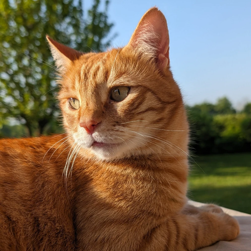 Milo