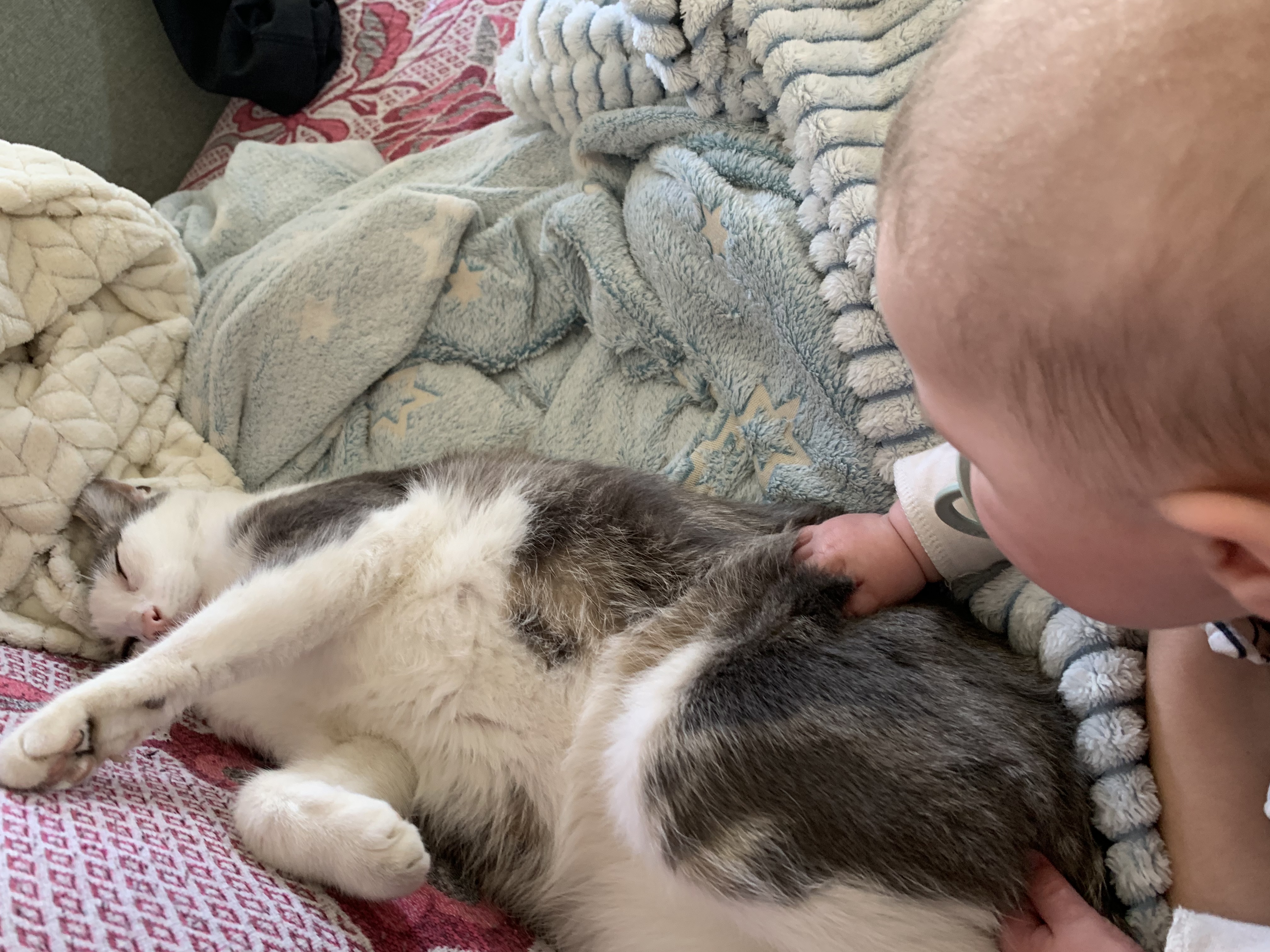 image-10