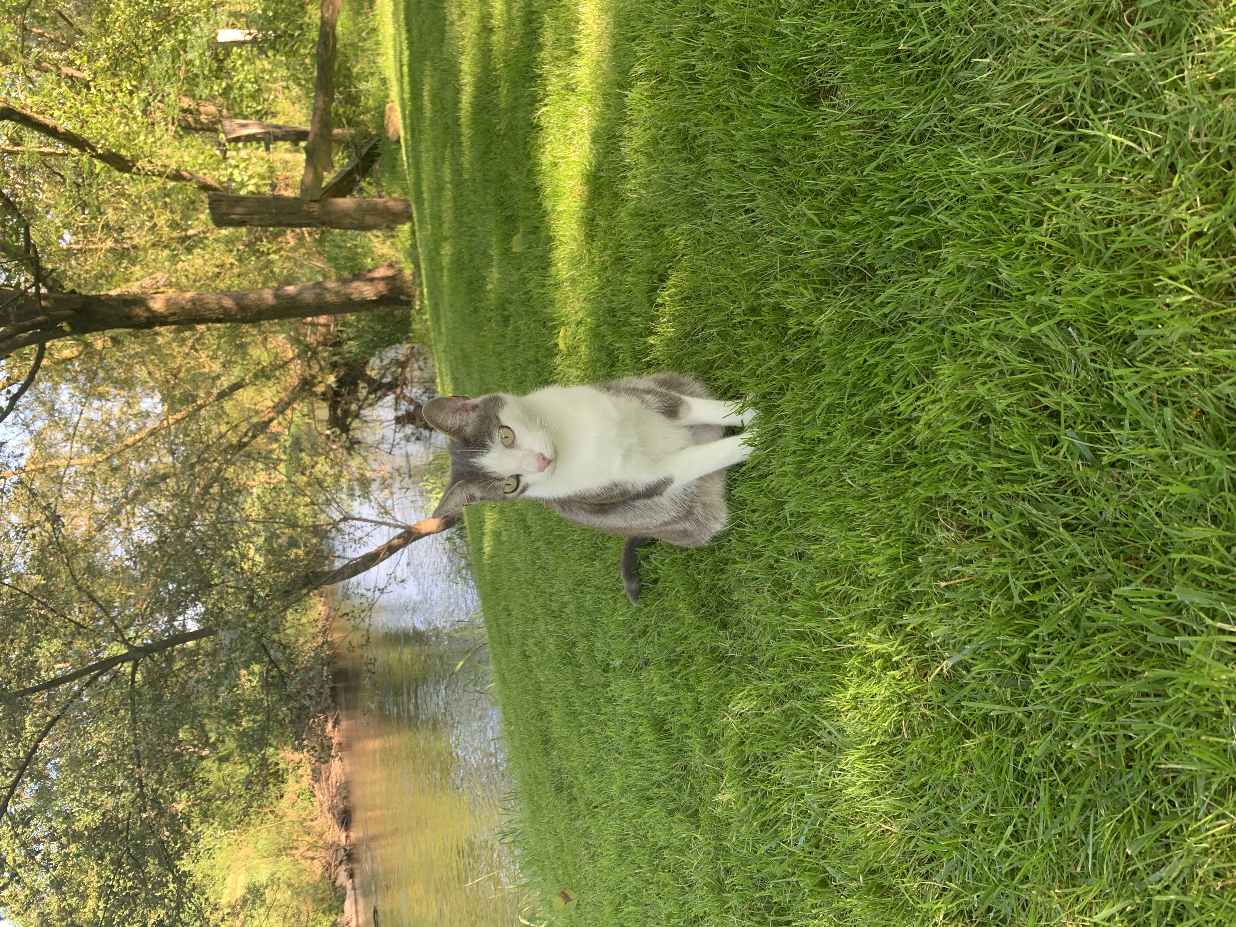 image-14