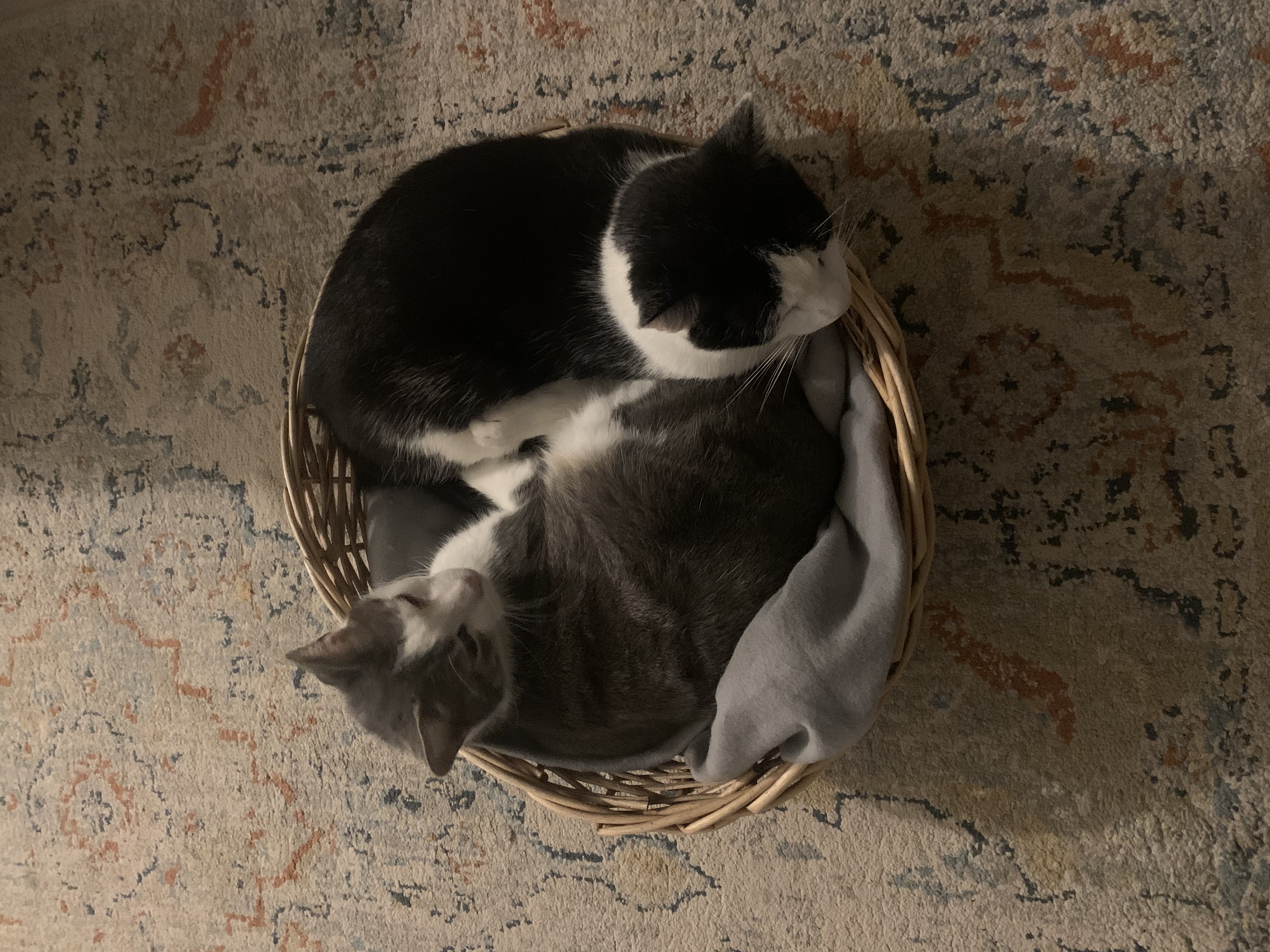 image-6