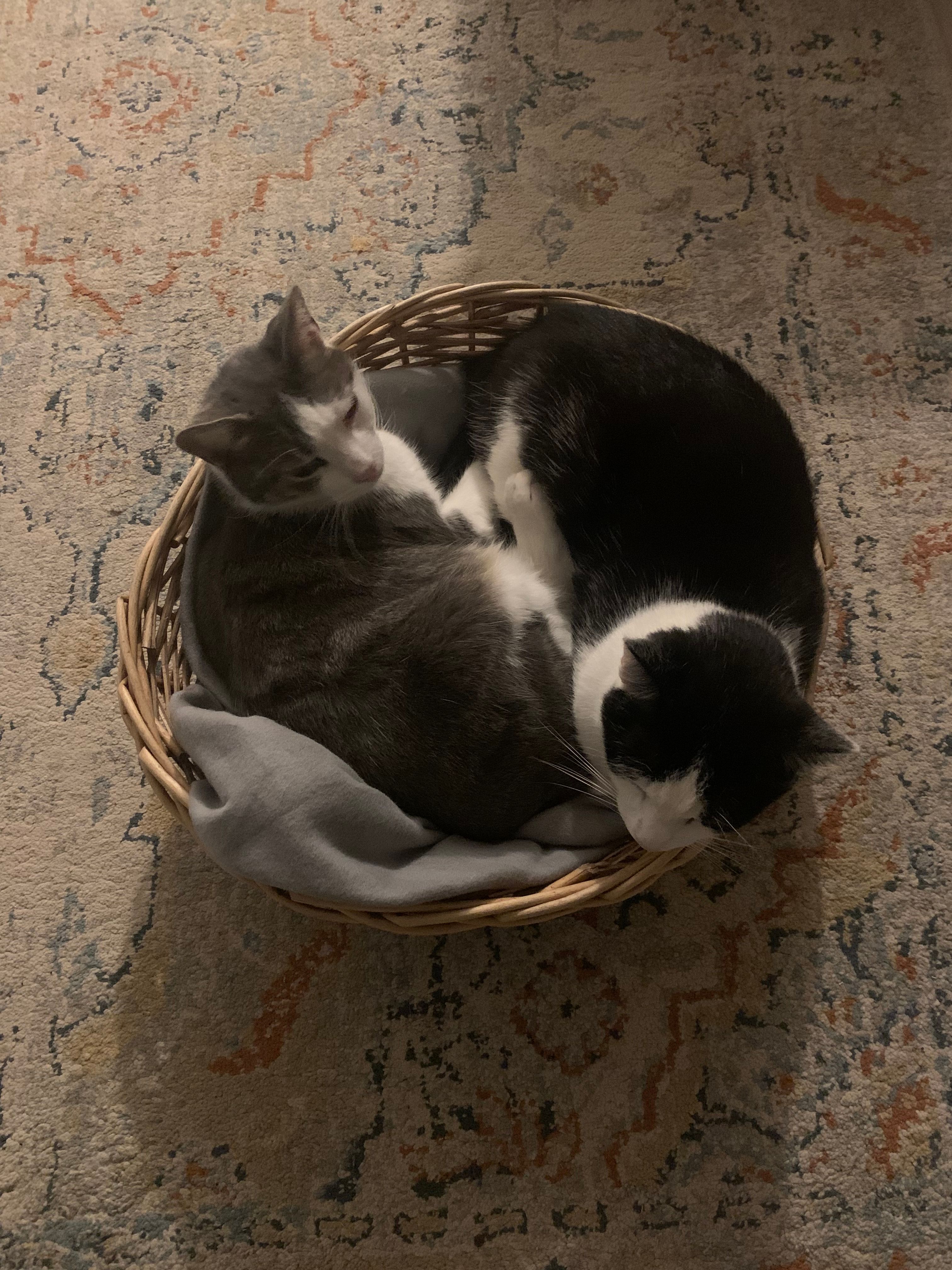 image-6