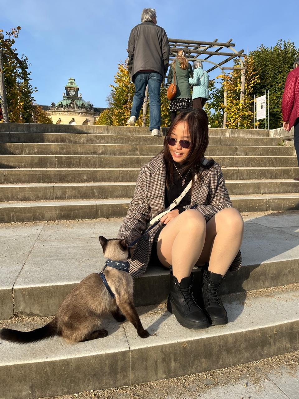 image-5