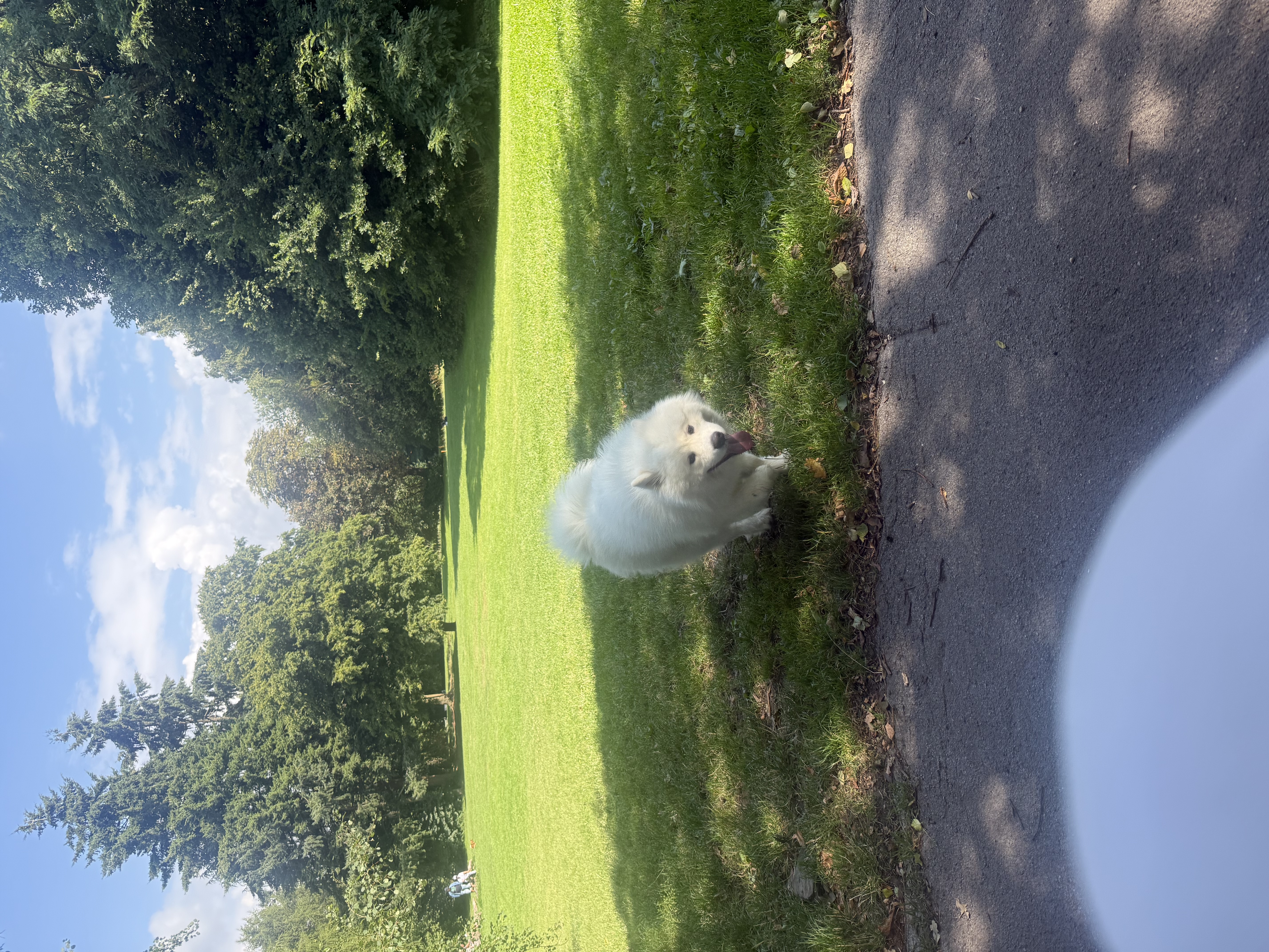 image-16