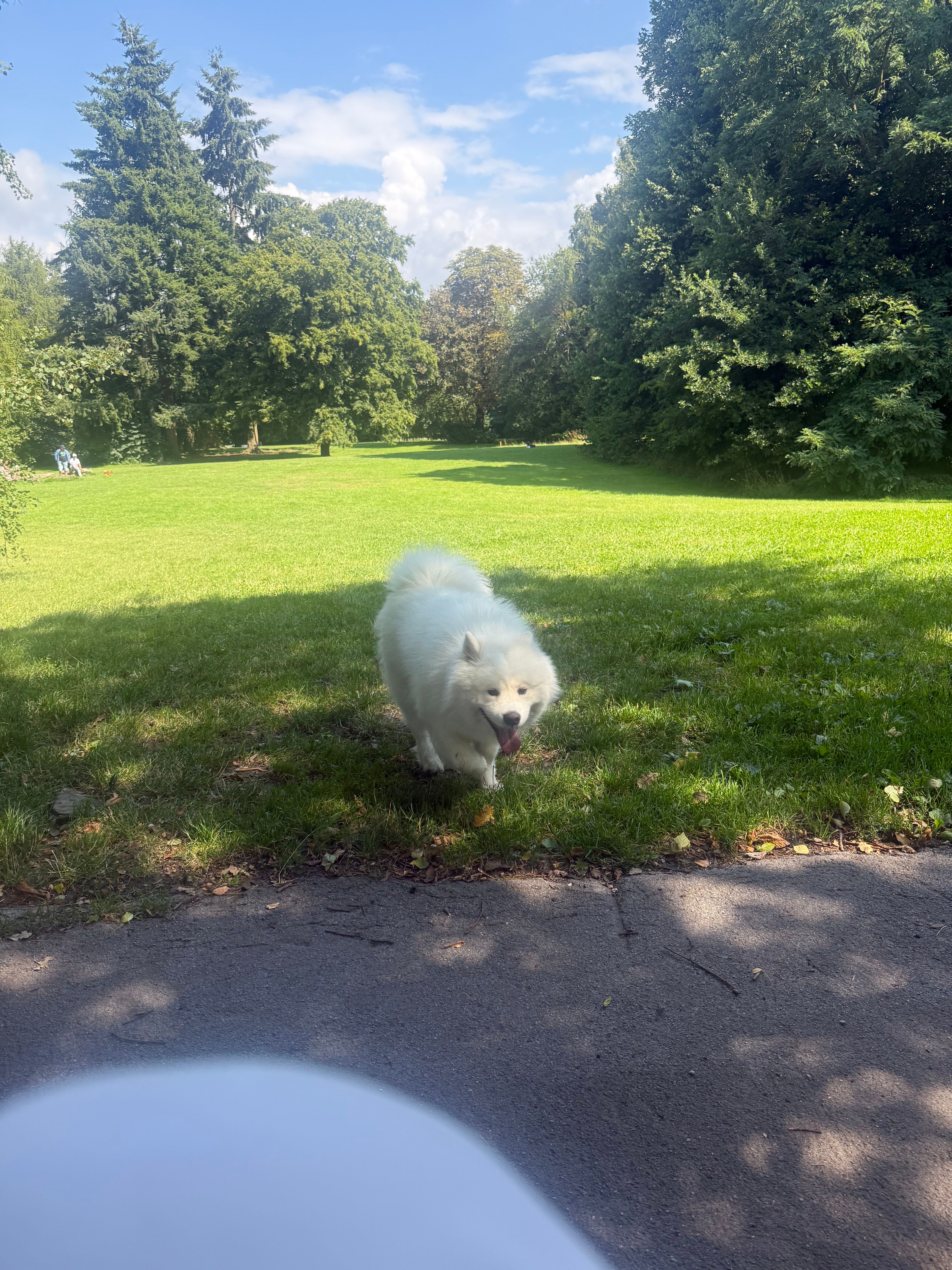image-16