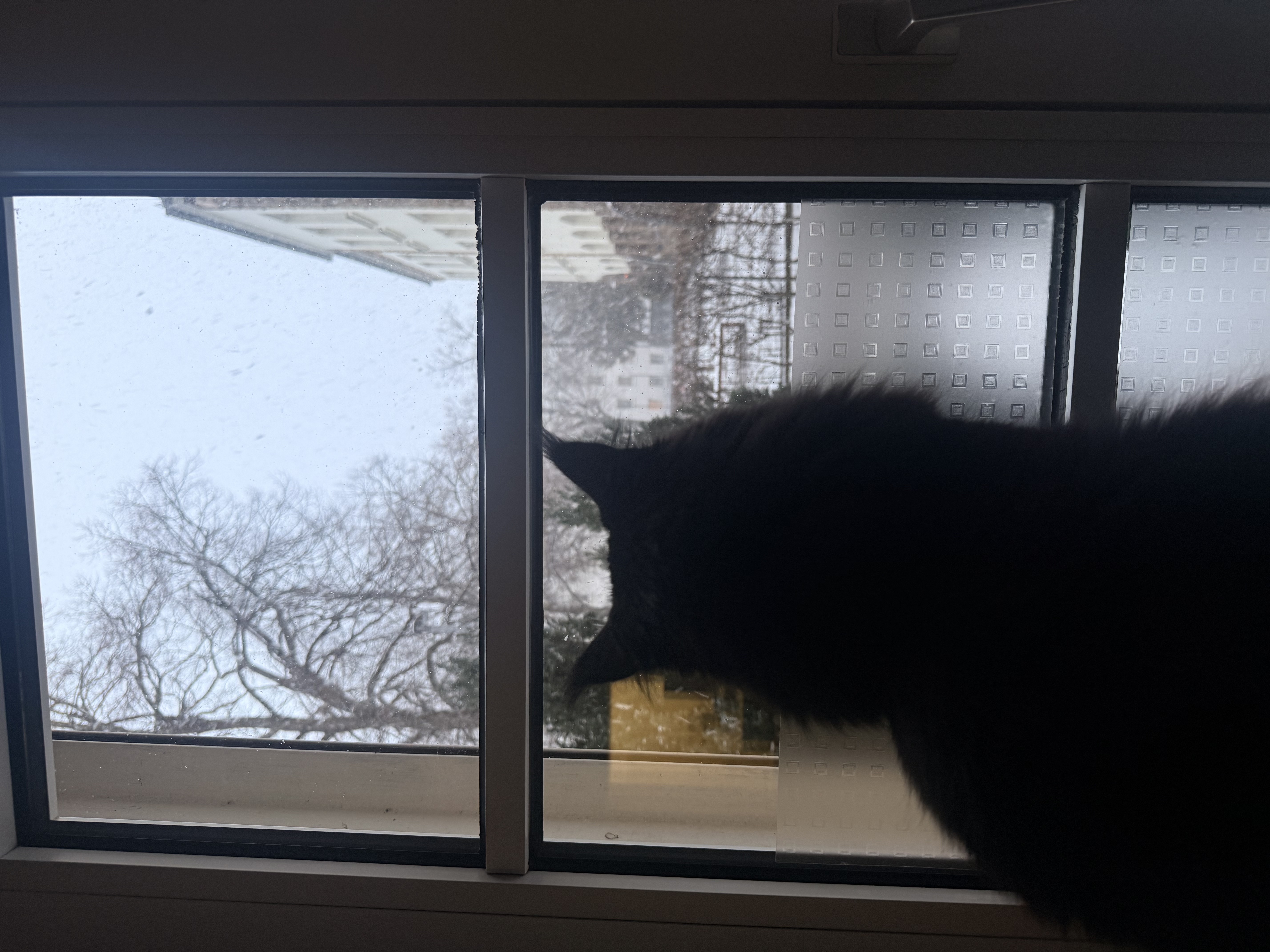 image-18
