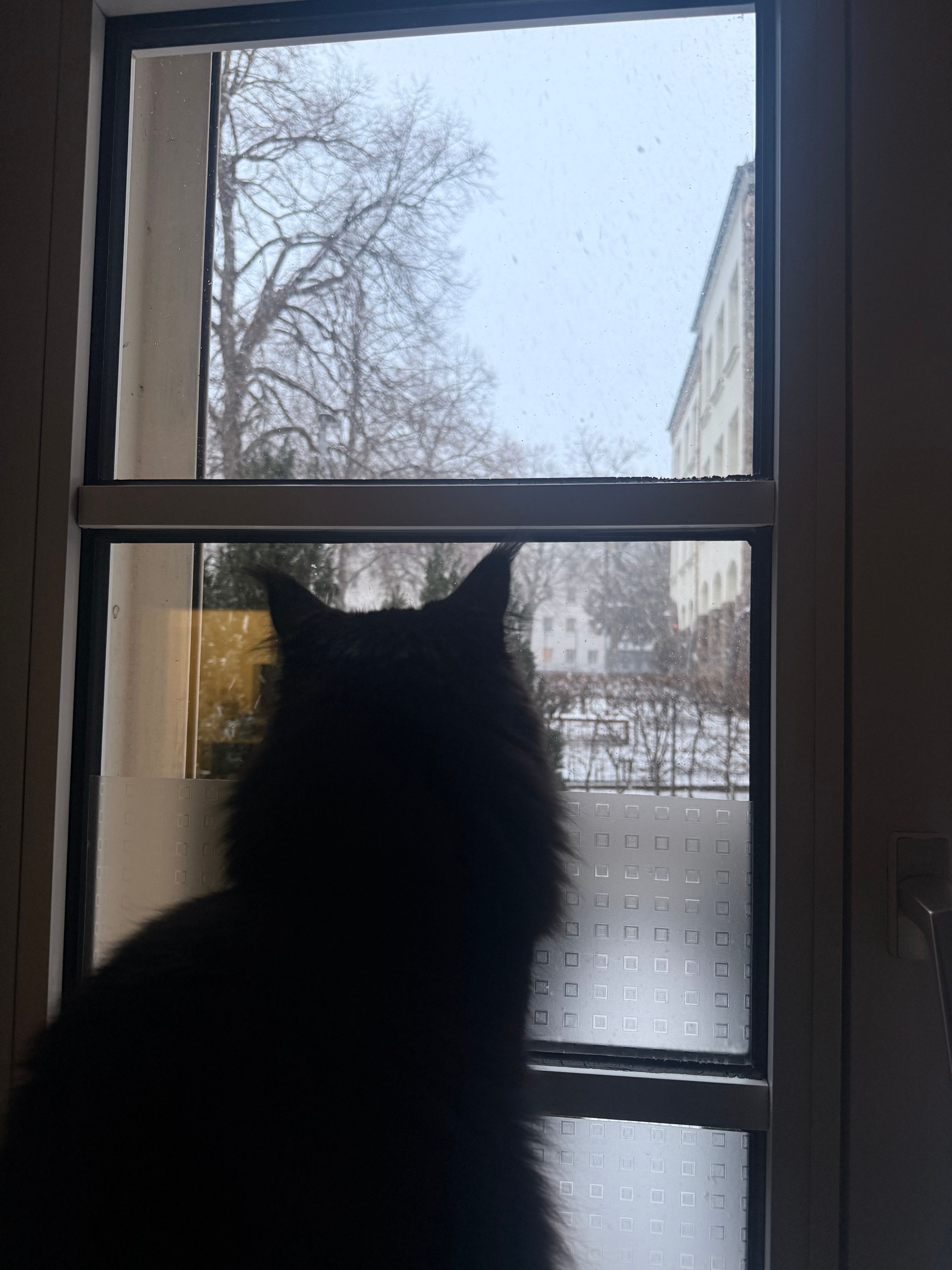image-18